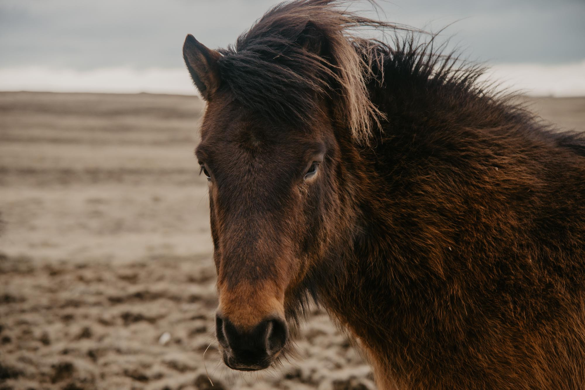 Iceland. Family Lifestyle Photography
