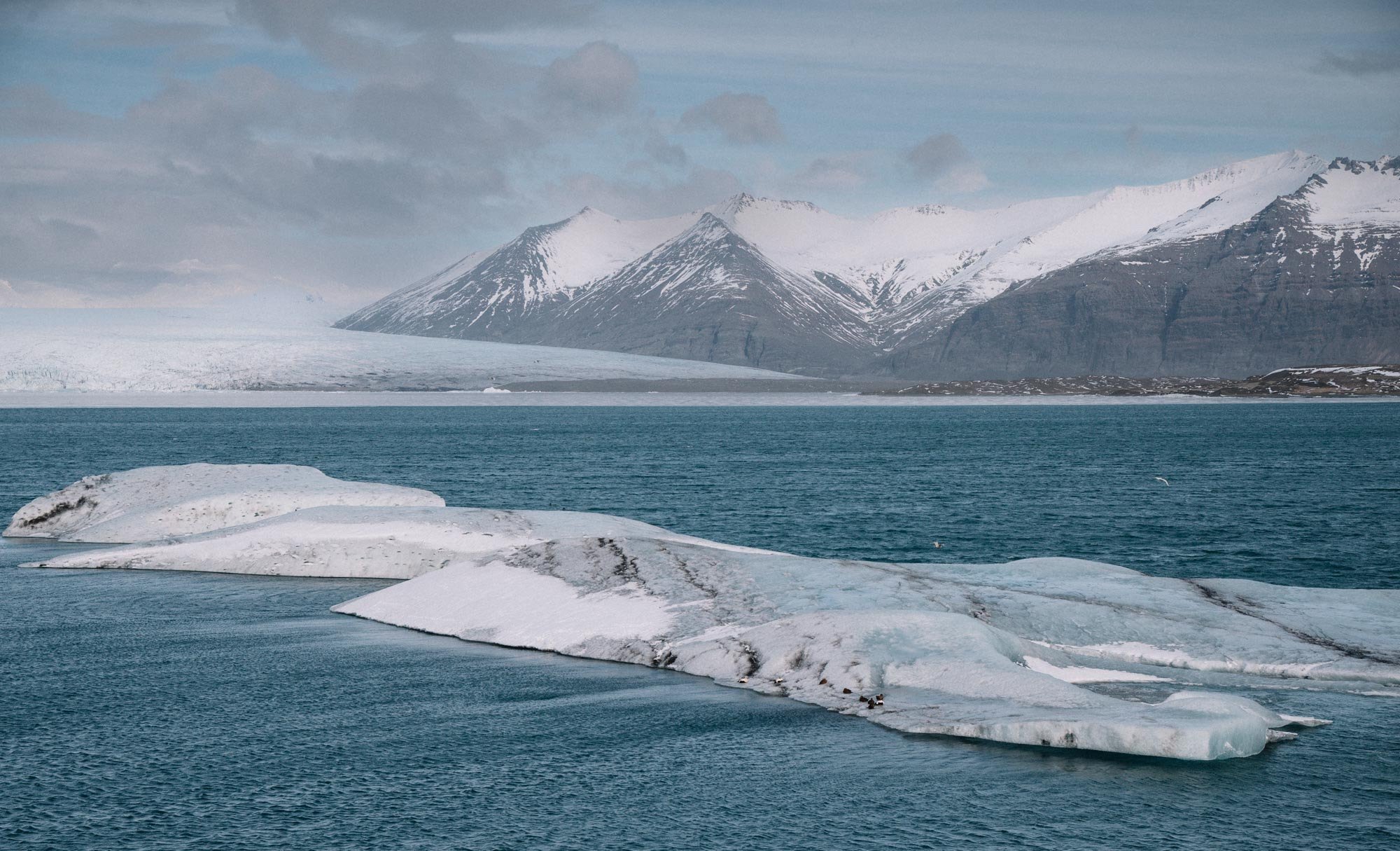 Iceland. Family Lifestyle Photography