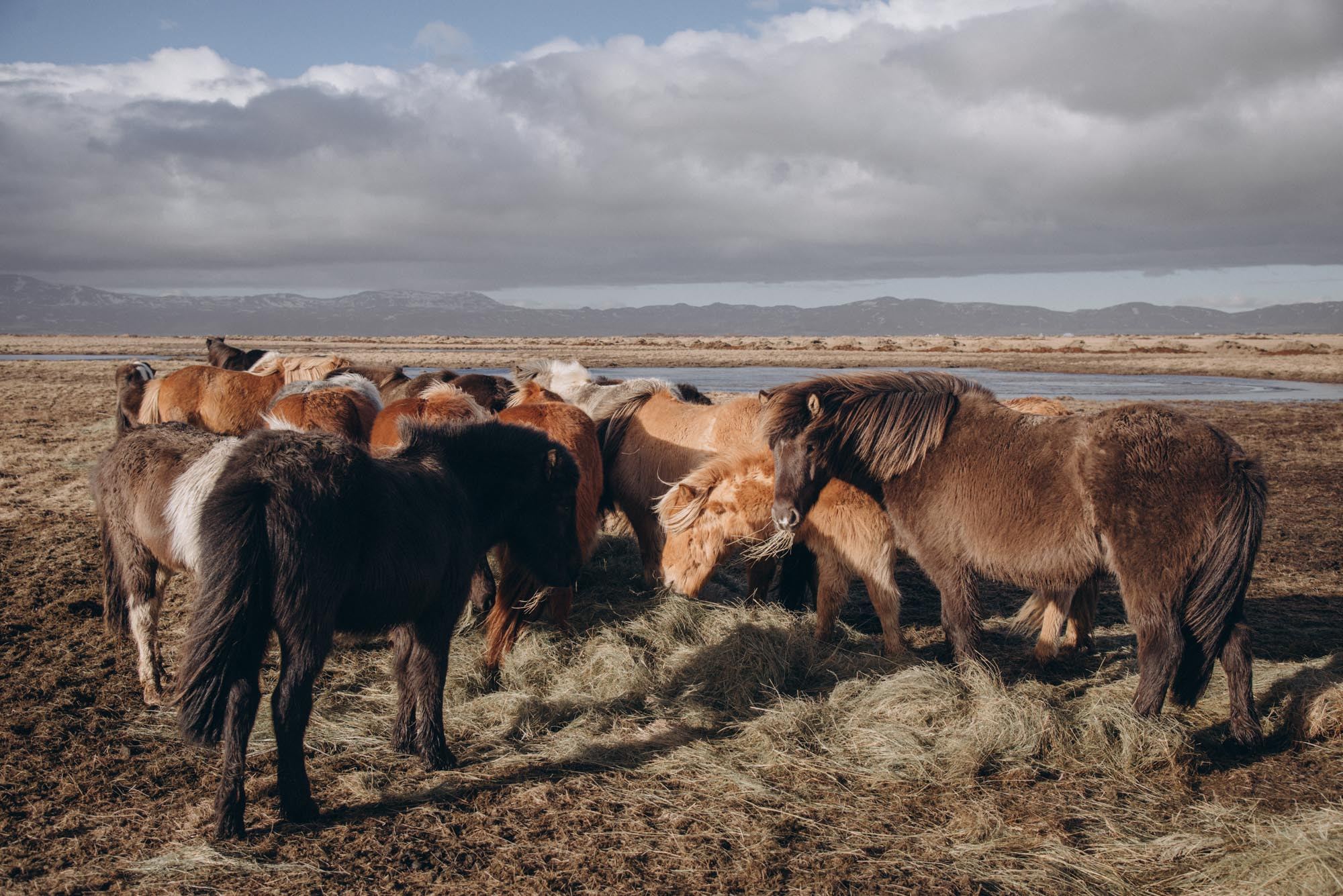 Iceland. Family Lifestyle Photography