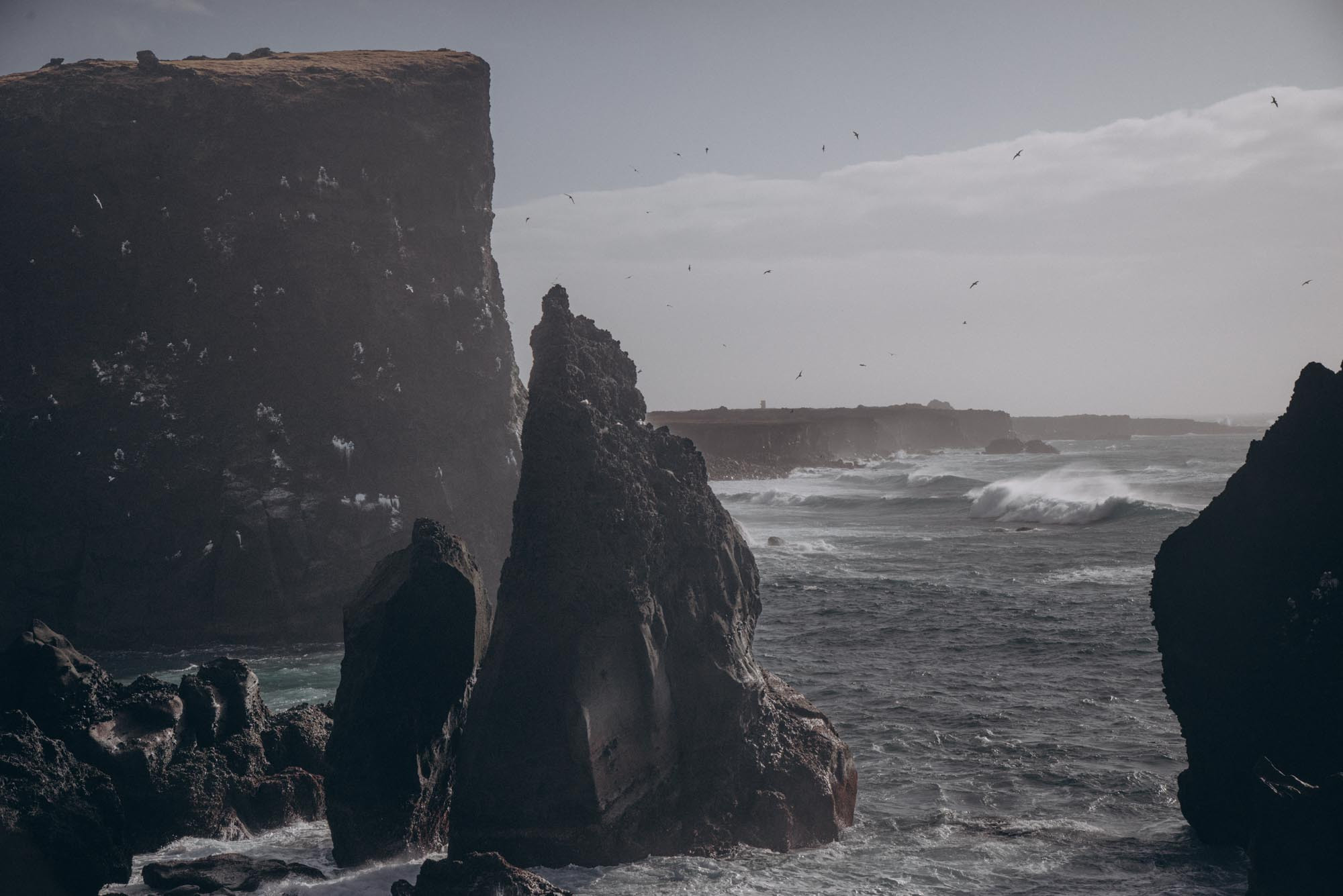 Iceland. Family Lifestyle Photography