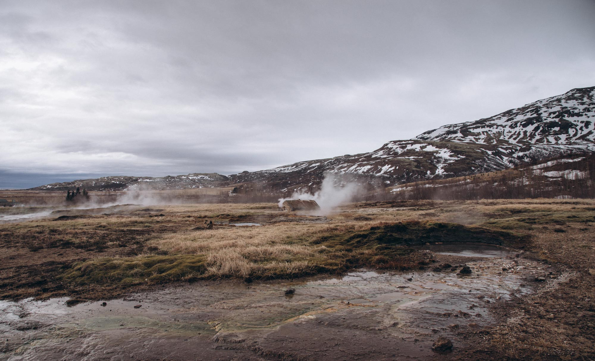 Iceland. Family Lifestyle Photography