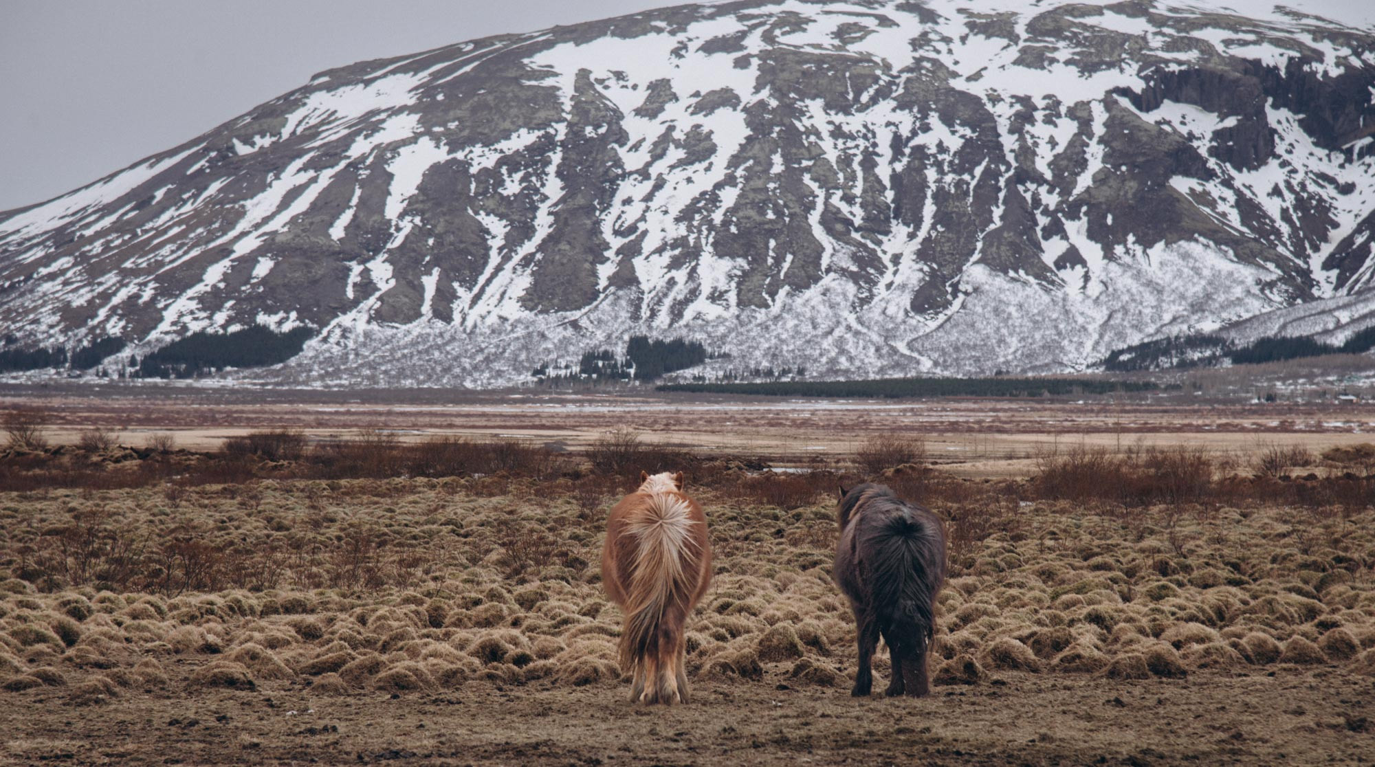 Iceland. Family Lifestyle Photography