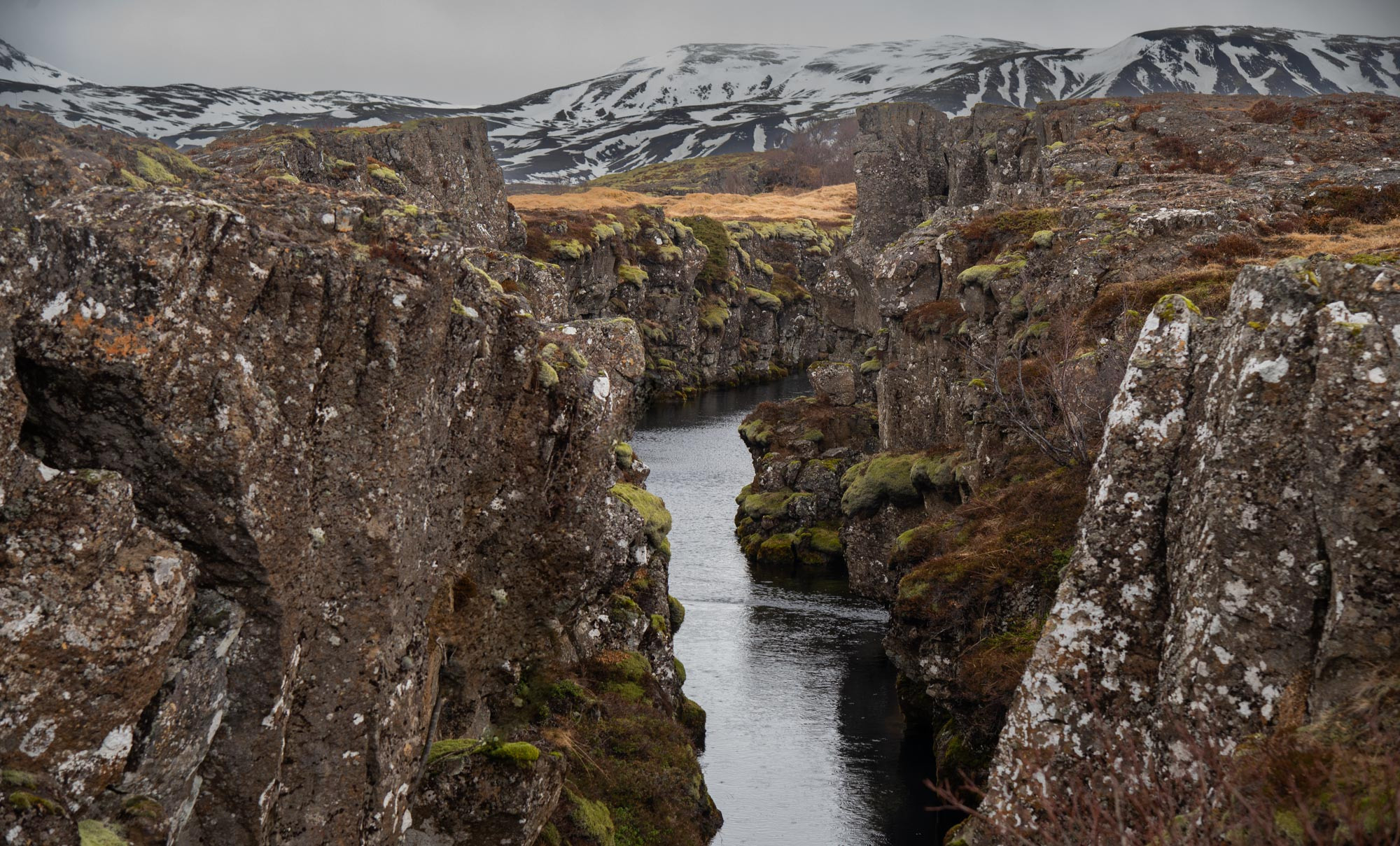 Iceland. Family Lifestyle Photography