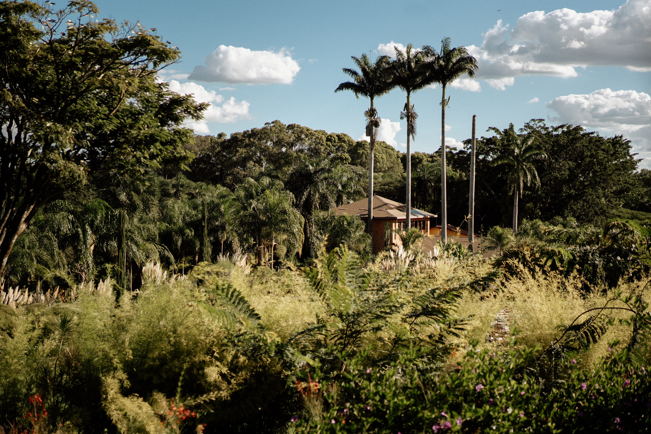 Amanda & Gustavo | Casamento. Congiu Wedding