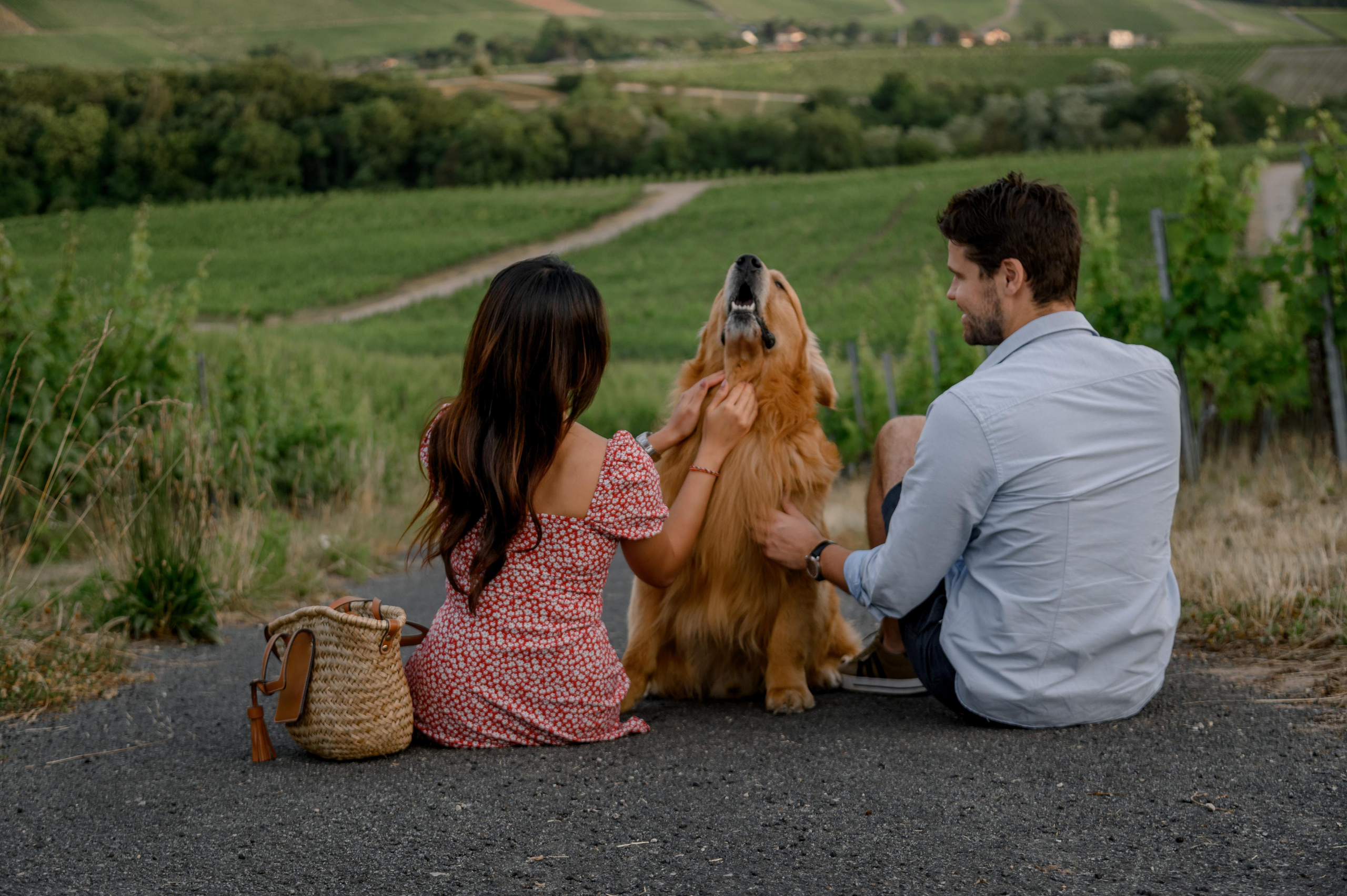 Story about love&dog in Moselle. Photographer in Luxembourg Tanita