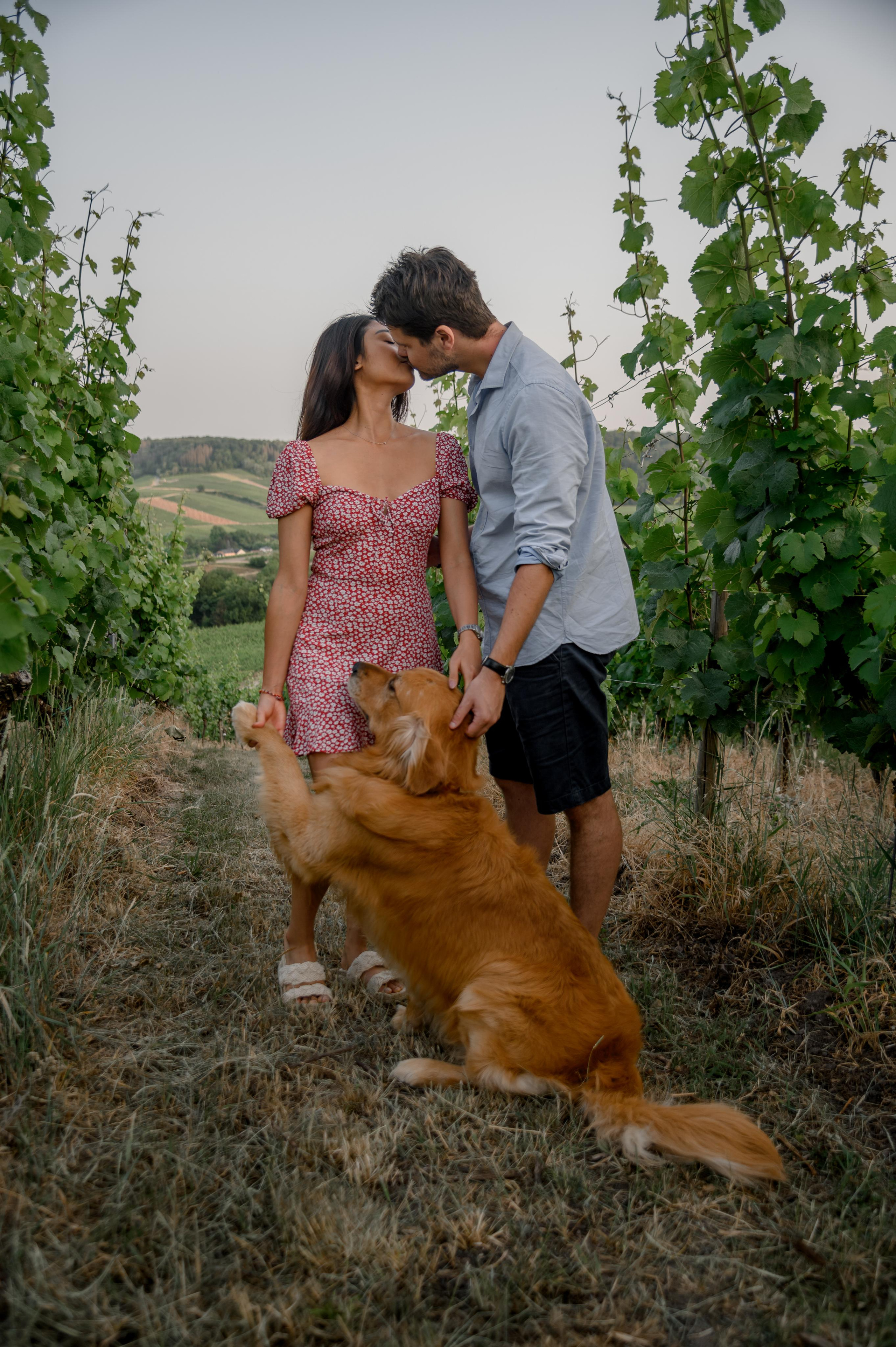 Story about love&dog in Moselle. Photographer in Luxembourg Tanita