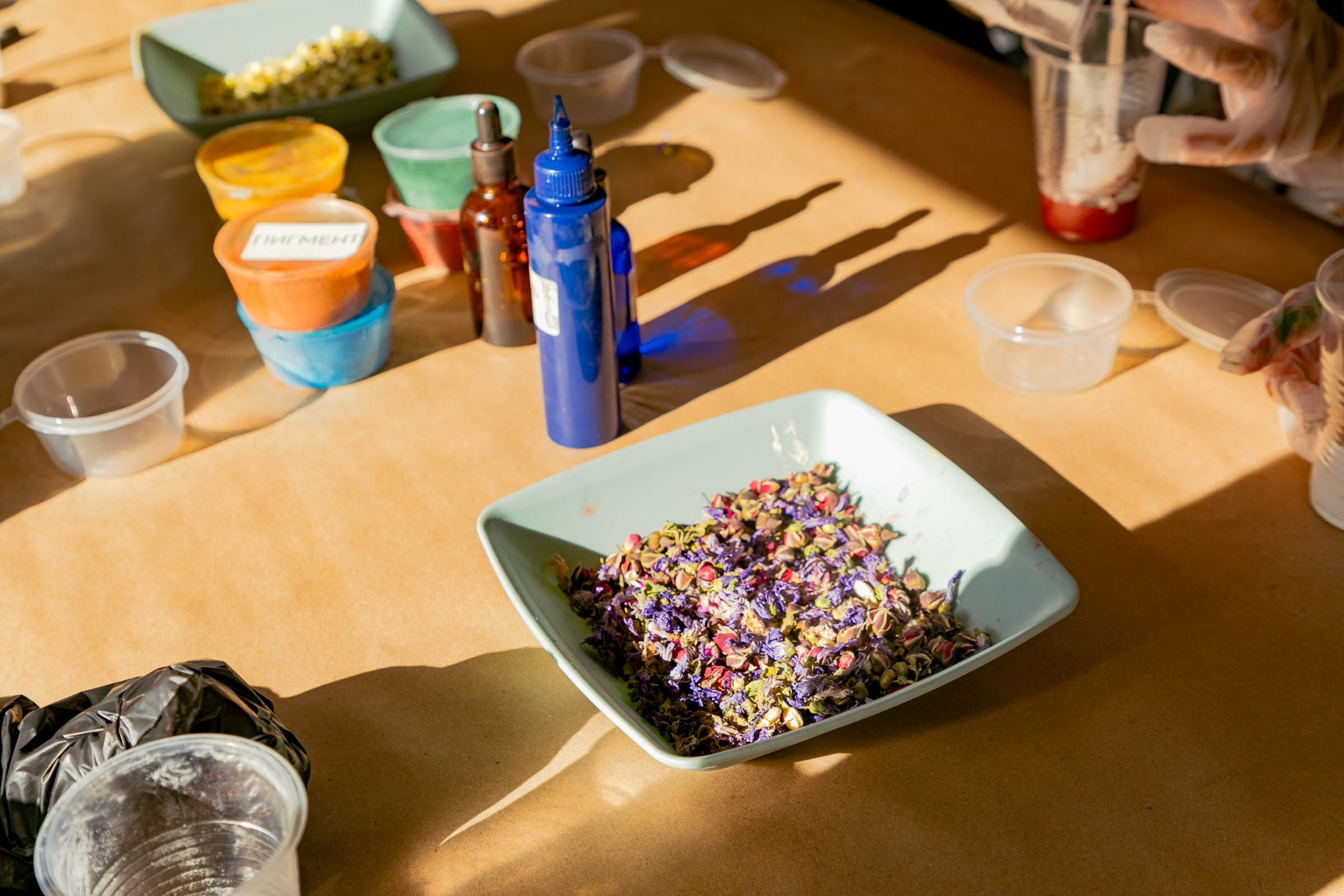 Большой семейный фестиваль — 2025. Репортажный и концертный фотограф в Санкт-Петербурге Адмакина Дарья