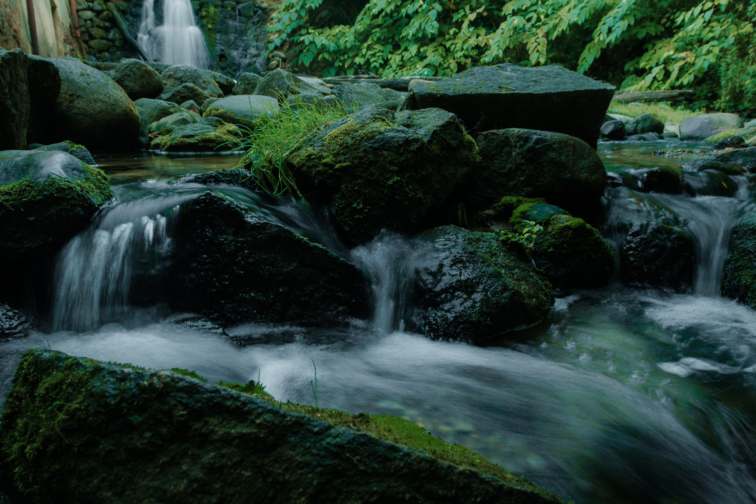 Landscape. Portrait and Street photographer in Vilnius Edgar Shaipunas