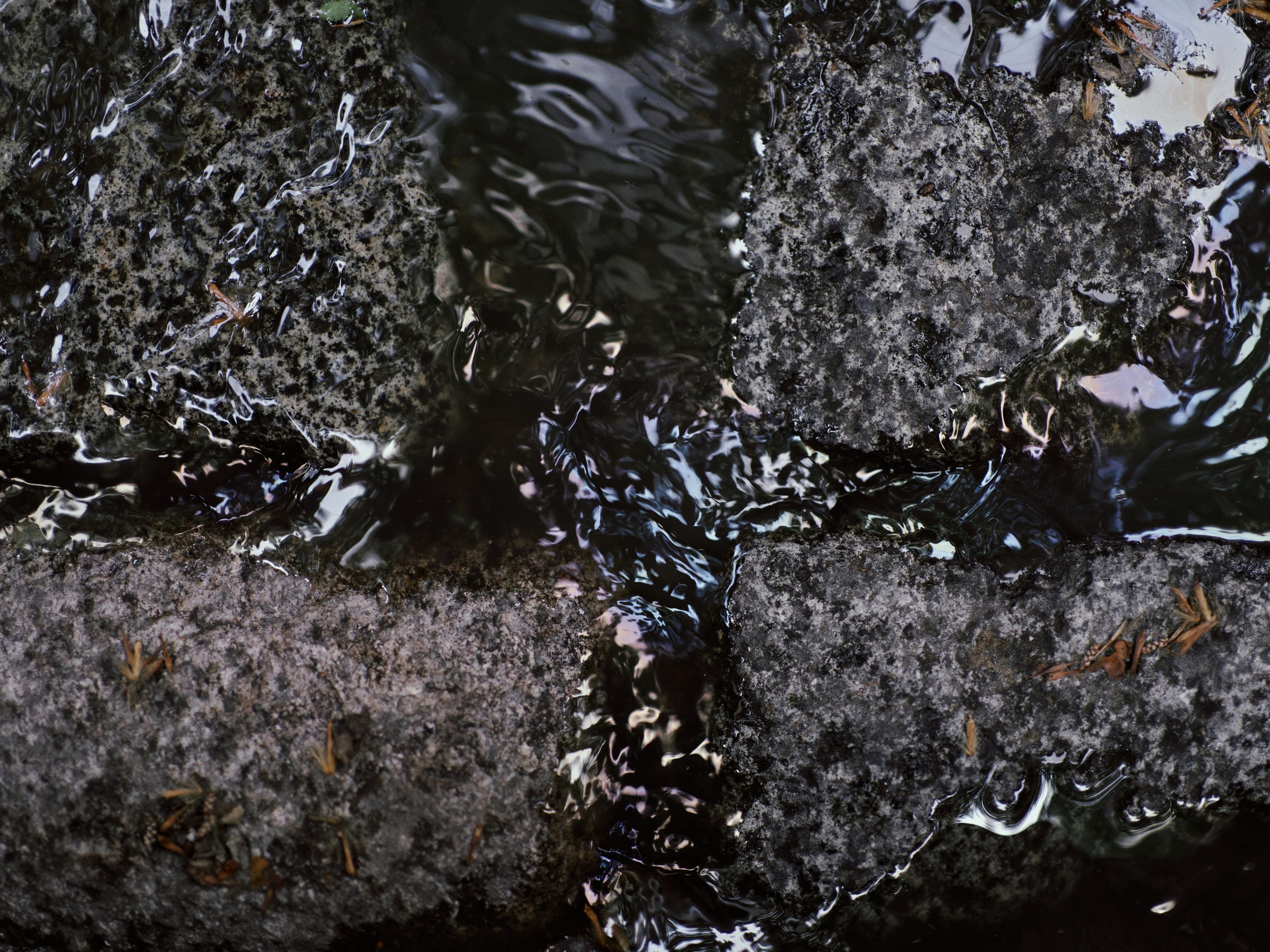 Marked as Agents. Egor Borie