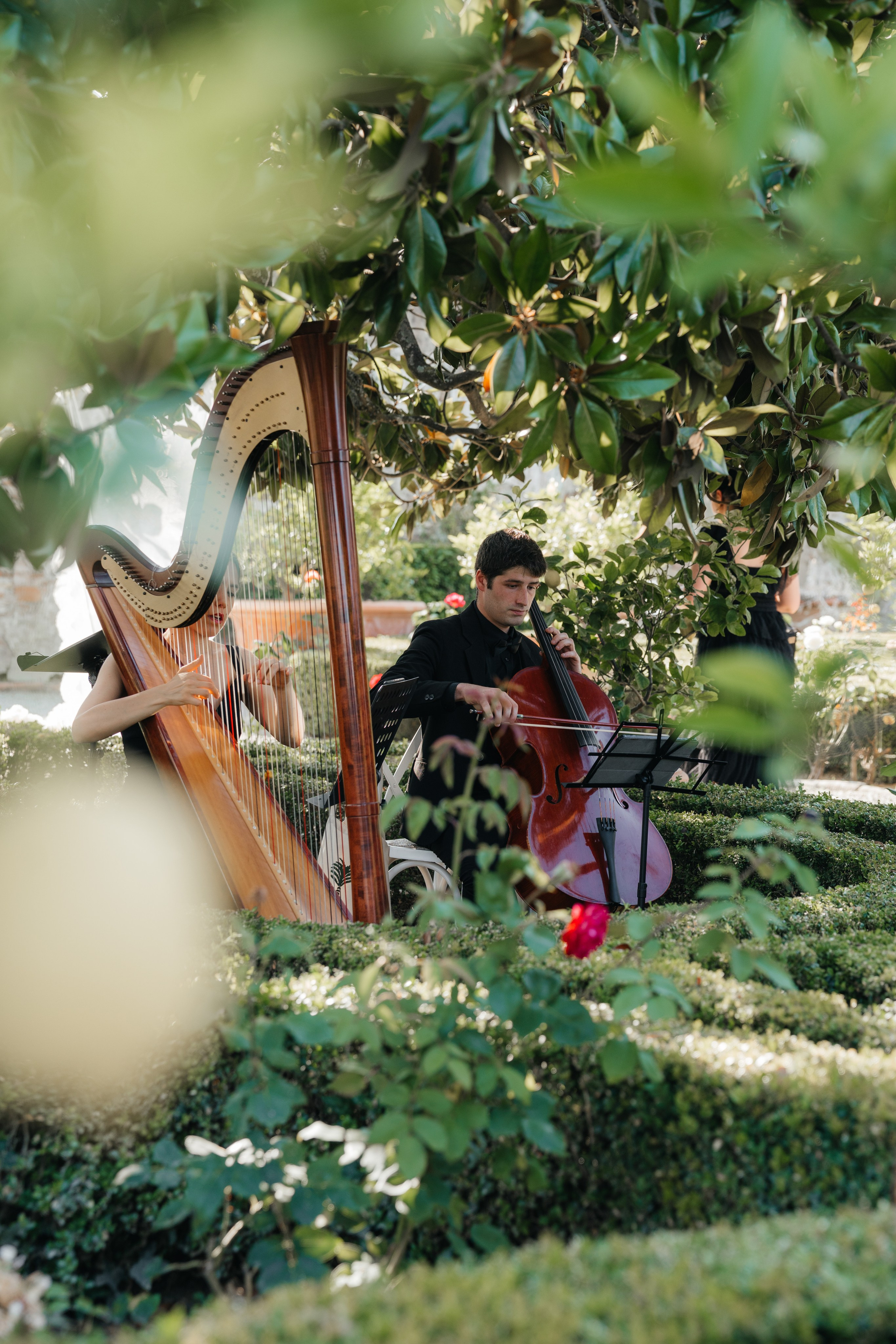 Dite & Nick. Wedding photographer Natalia