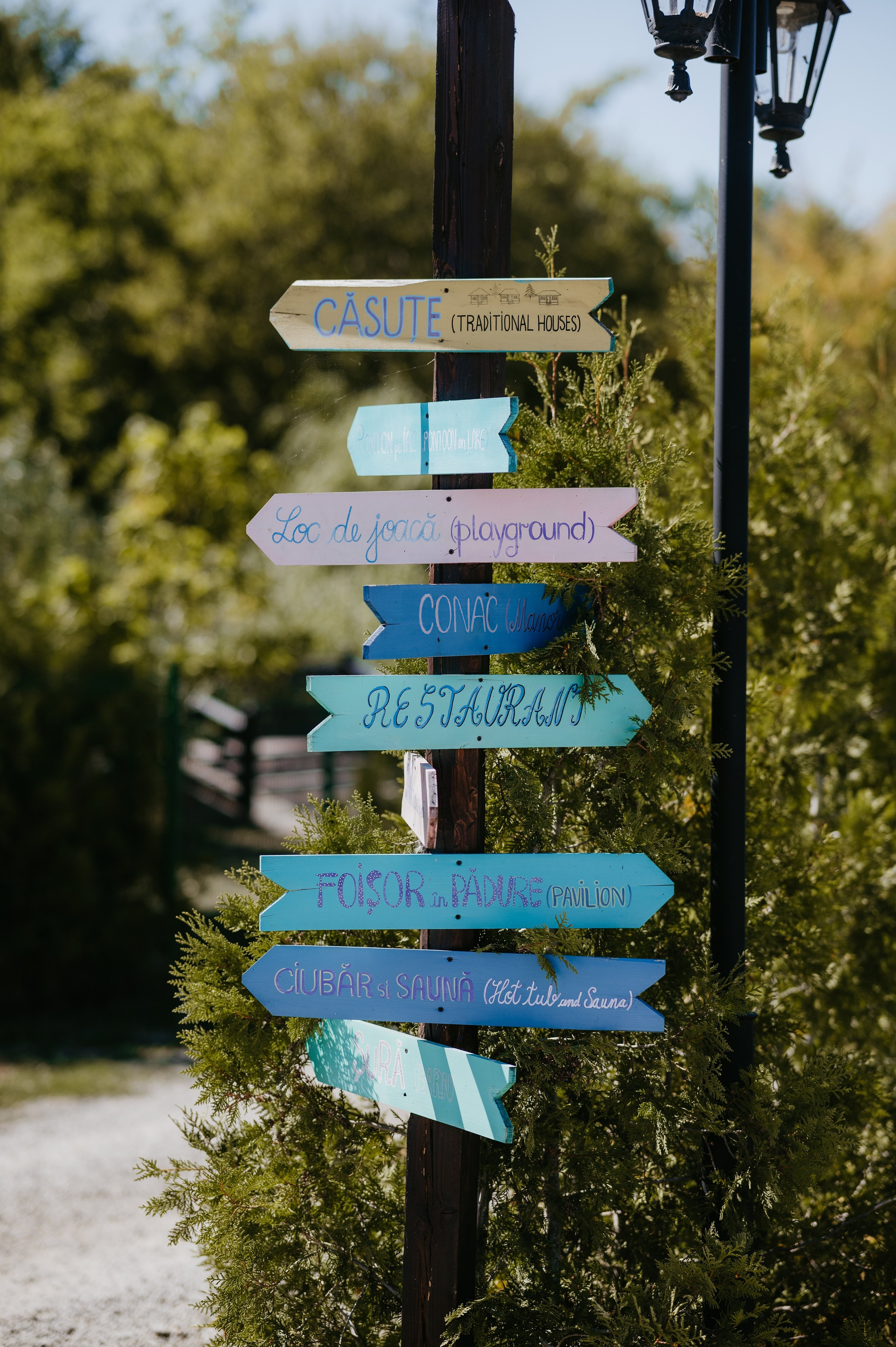 Ionut si Mihaela. Valentin Melen — wedding photographer