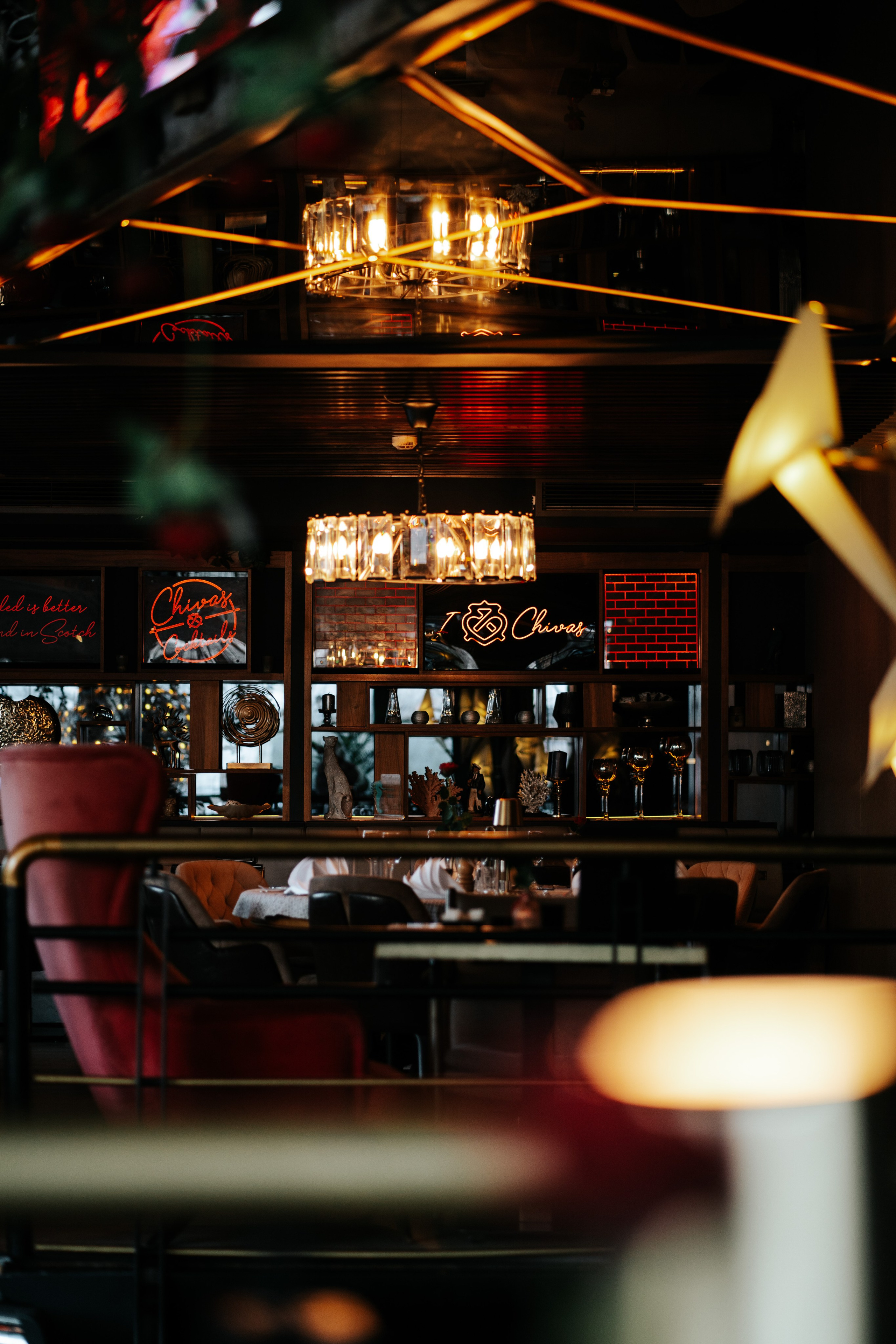 RESTAURANT. Montenegro photographer and videographer
