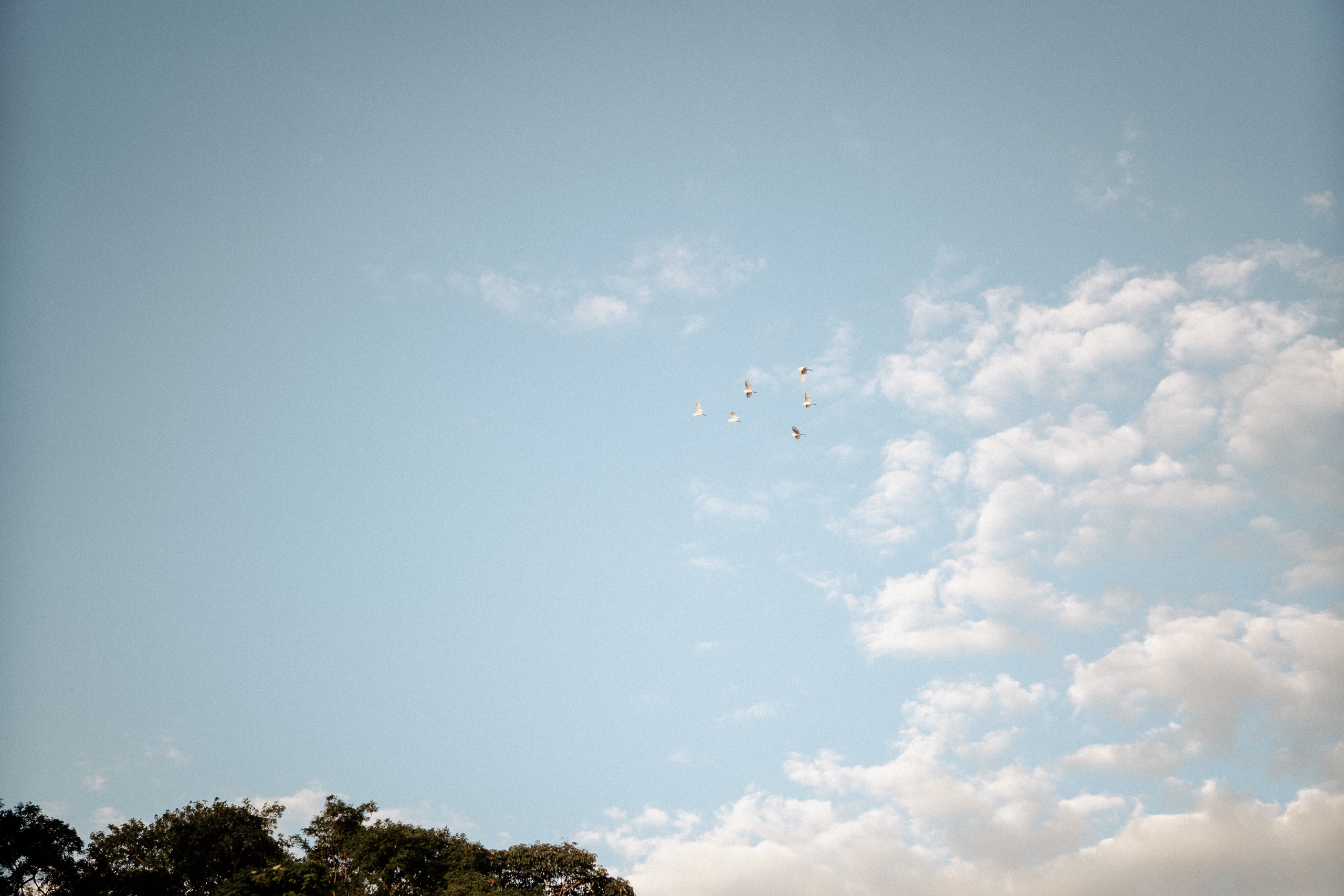 Amanda & Gustavo | Casamento. Congiu Wedding