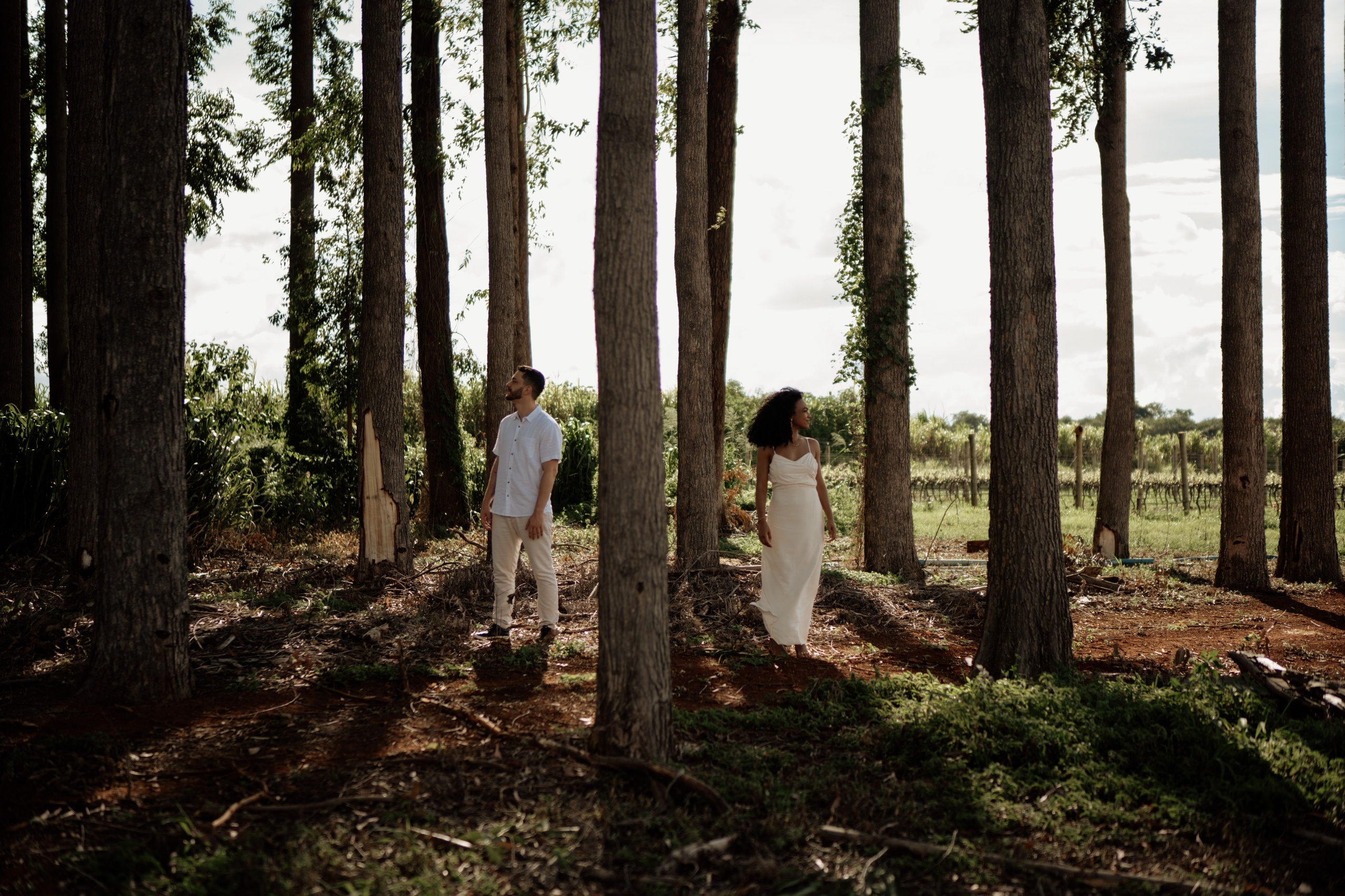 Paloma & Nikolas. Congiu Wedding