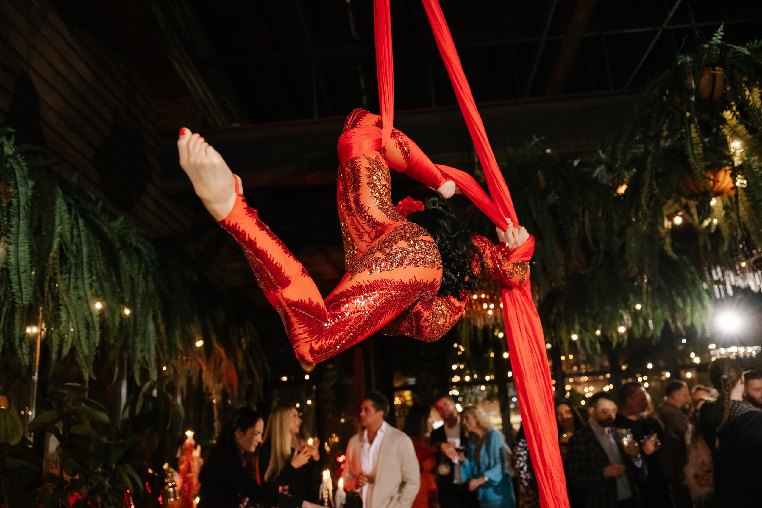 Elena’s Birthday Party. Wedding family event photographer in Chicago Nick Yushevich