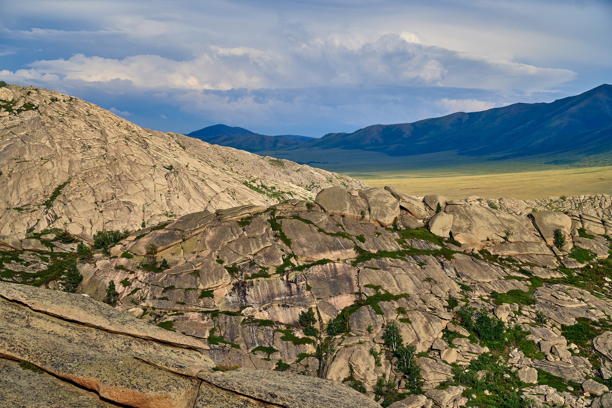 Сибины. Андрей Шипилов — Фотография & Видеография