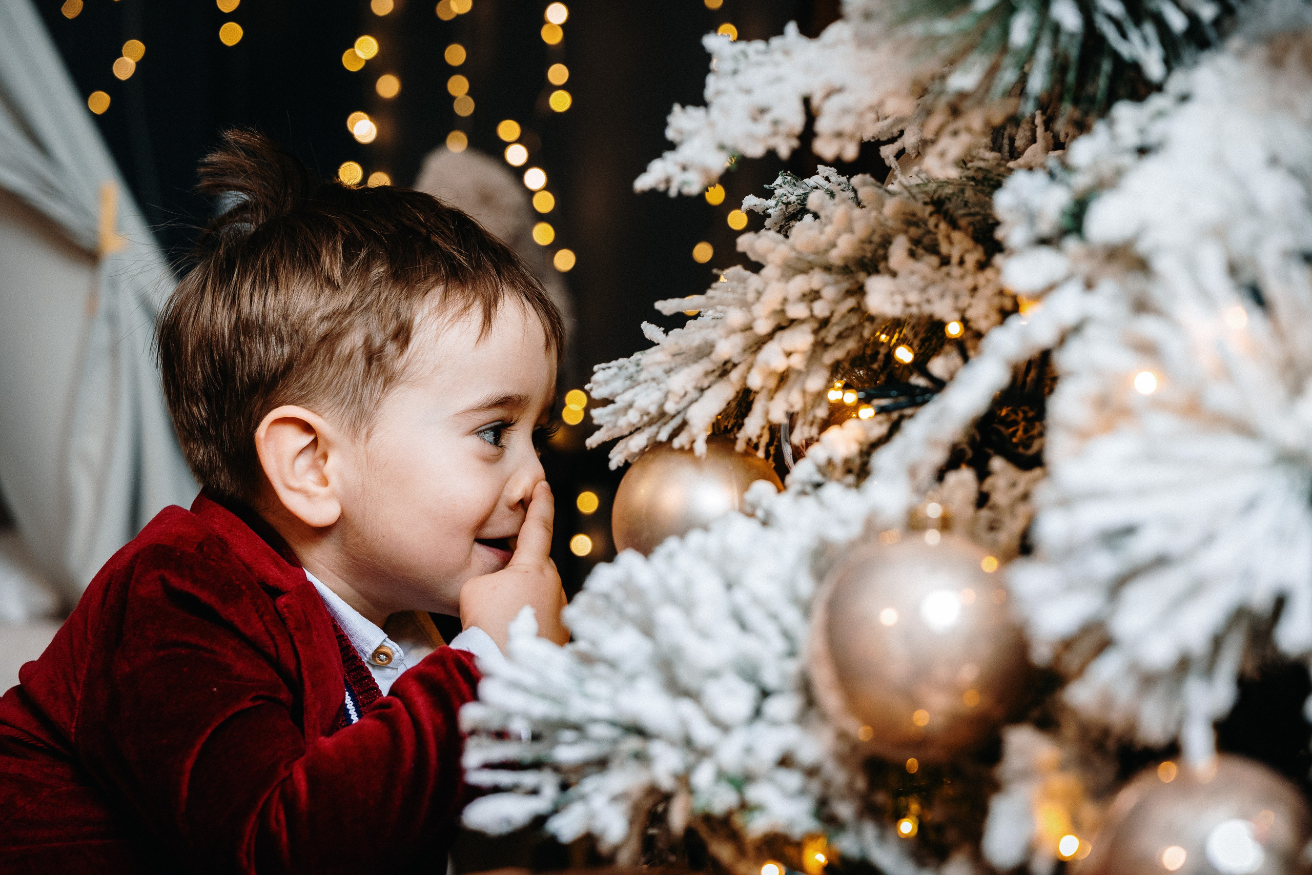 Novogodisnje fotografisanje erakovic. Aleksandar Šećerov photographer and videographer in Subotica, Serbia