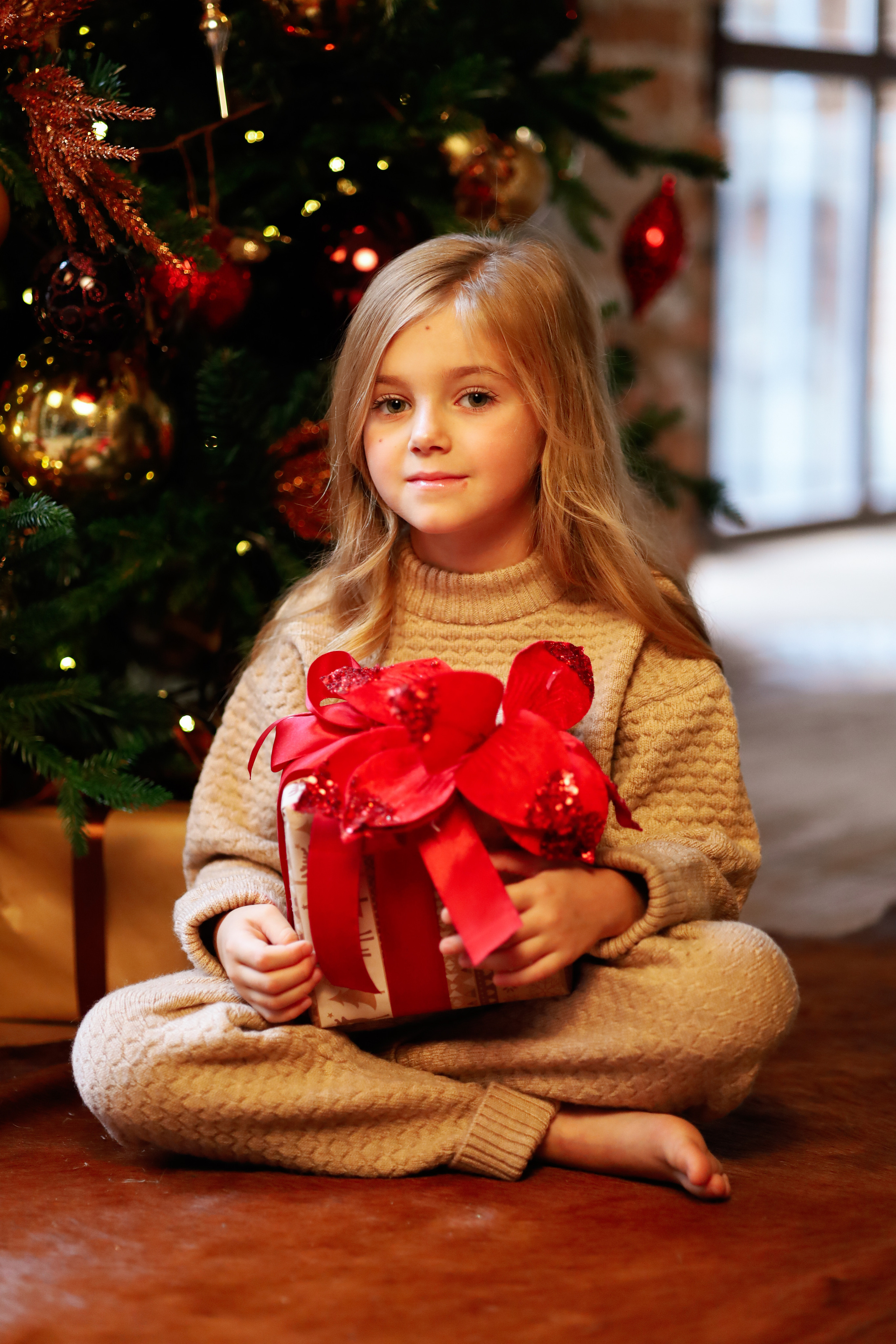 Family photo shoot and love story  tampa florida