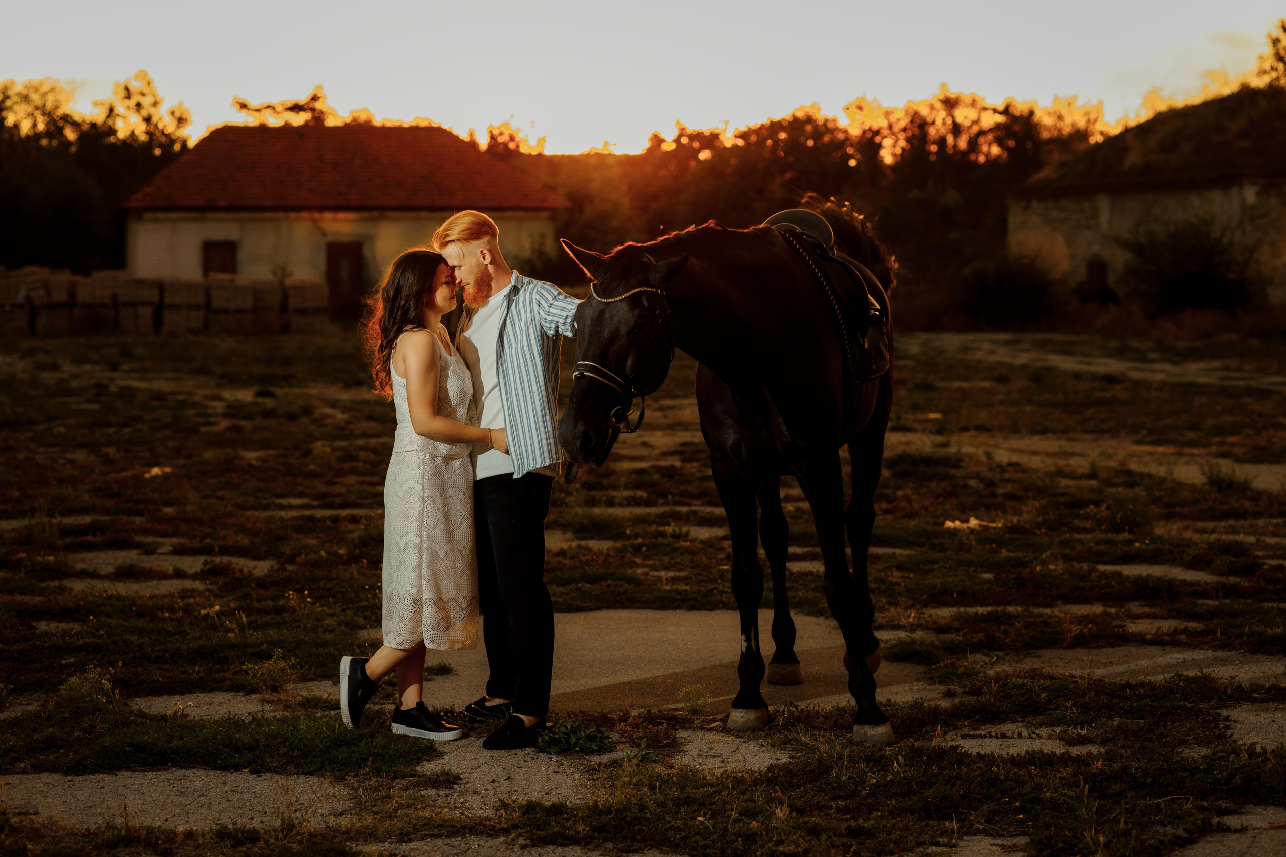 Pavel & Natalia. Fotograful evenimentului tău