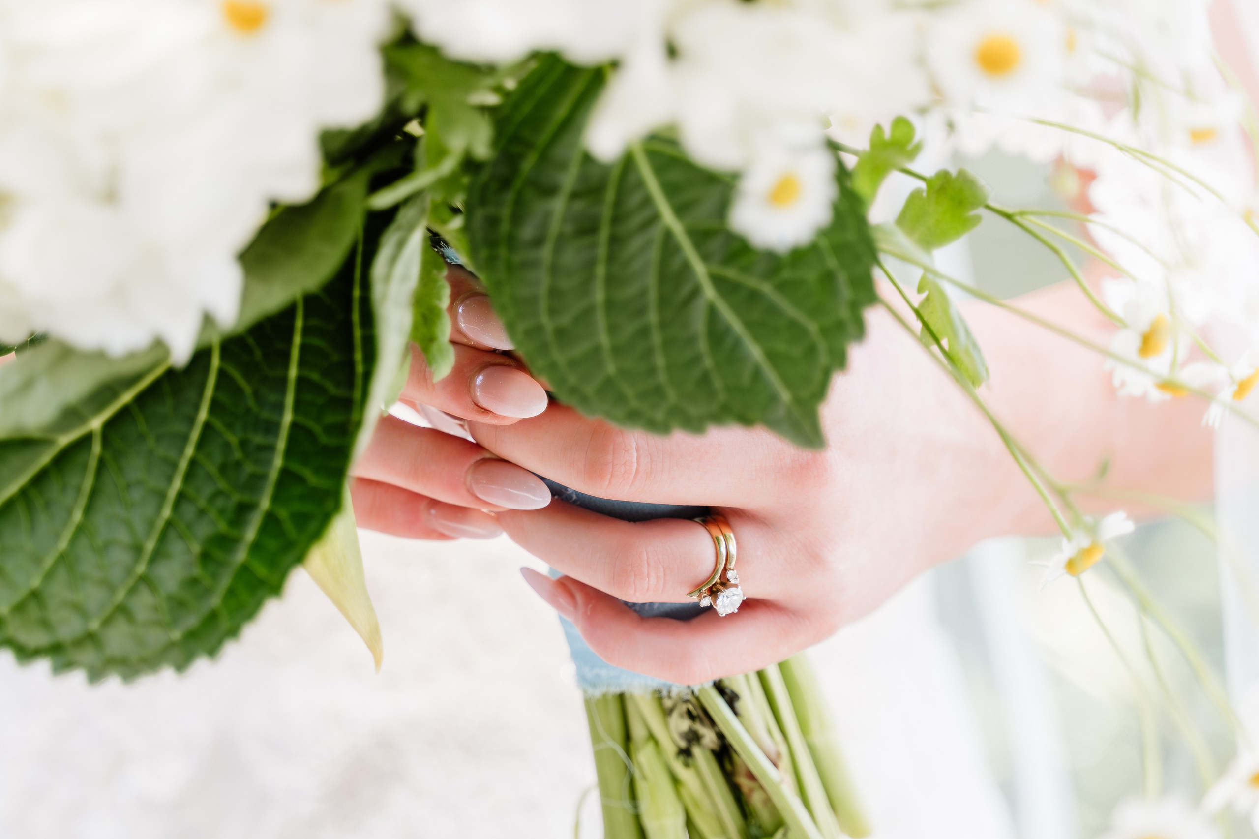 Jaime & Trynne Wedding. Pixel Pie — Wedding Photography & Videography