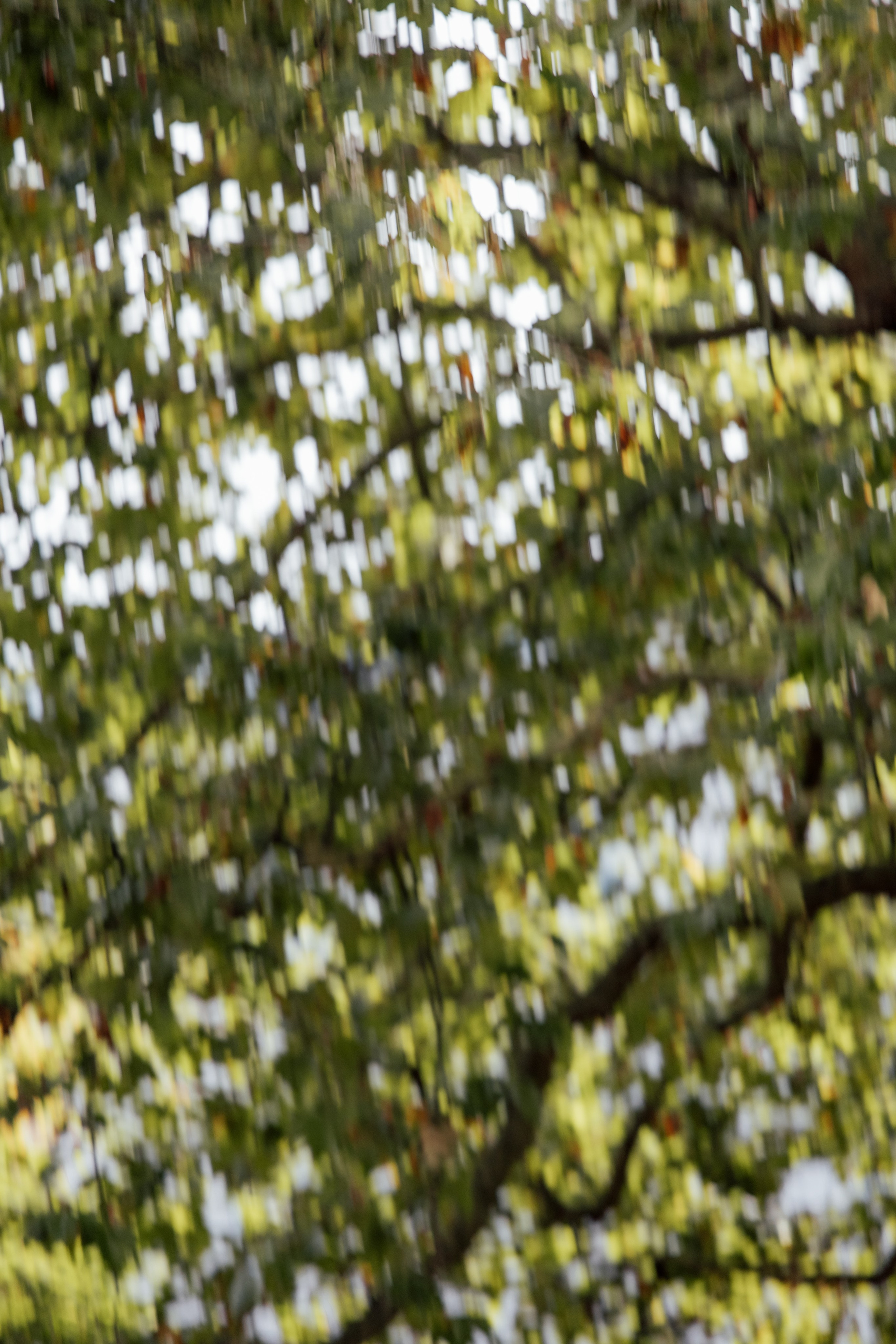 Elegant Wedding London Belgravia Elopement couple. Timeless Wedding & Event Photography from London to the world