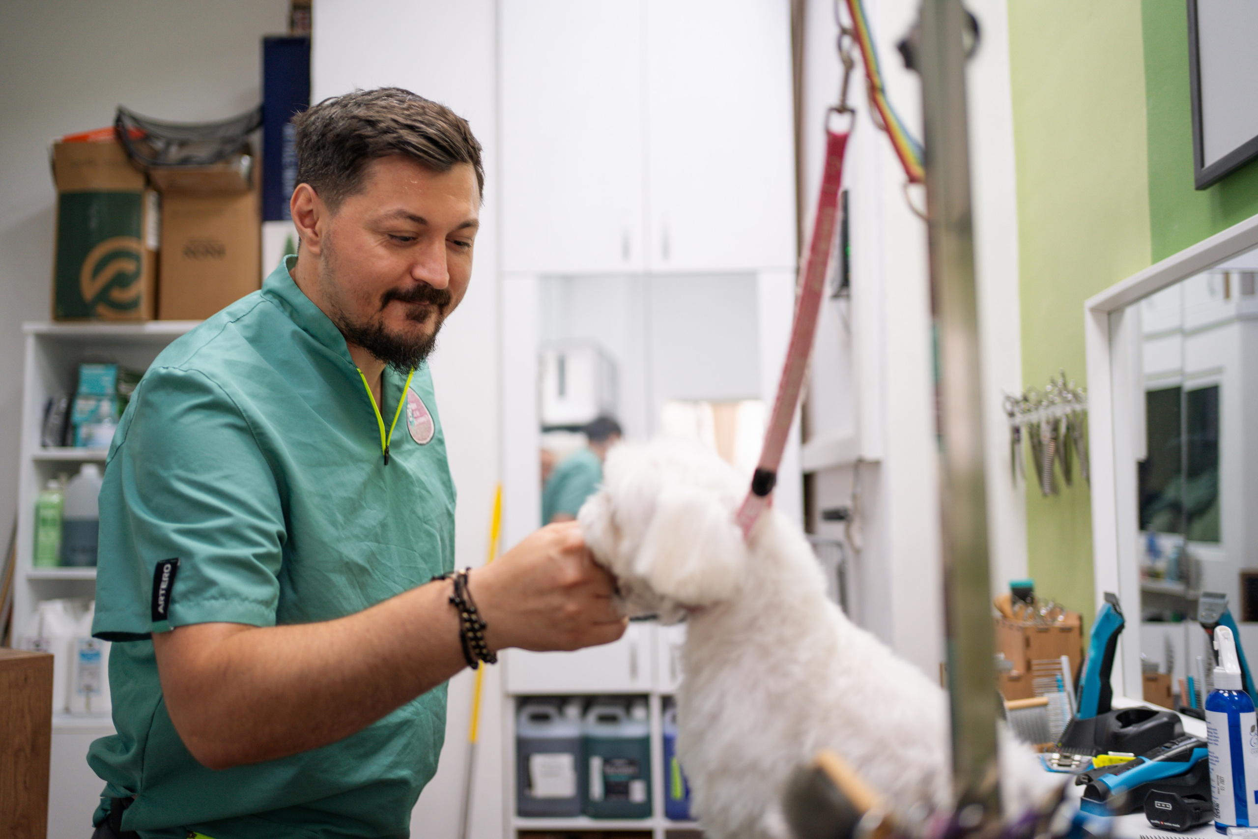 PetGroom Timisoara. Cozac Cristian Photographer