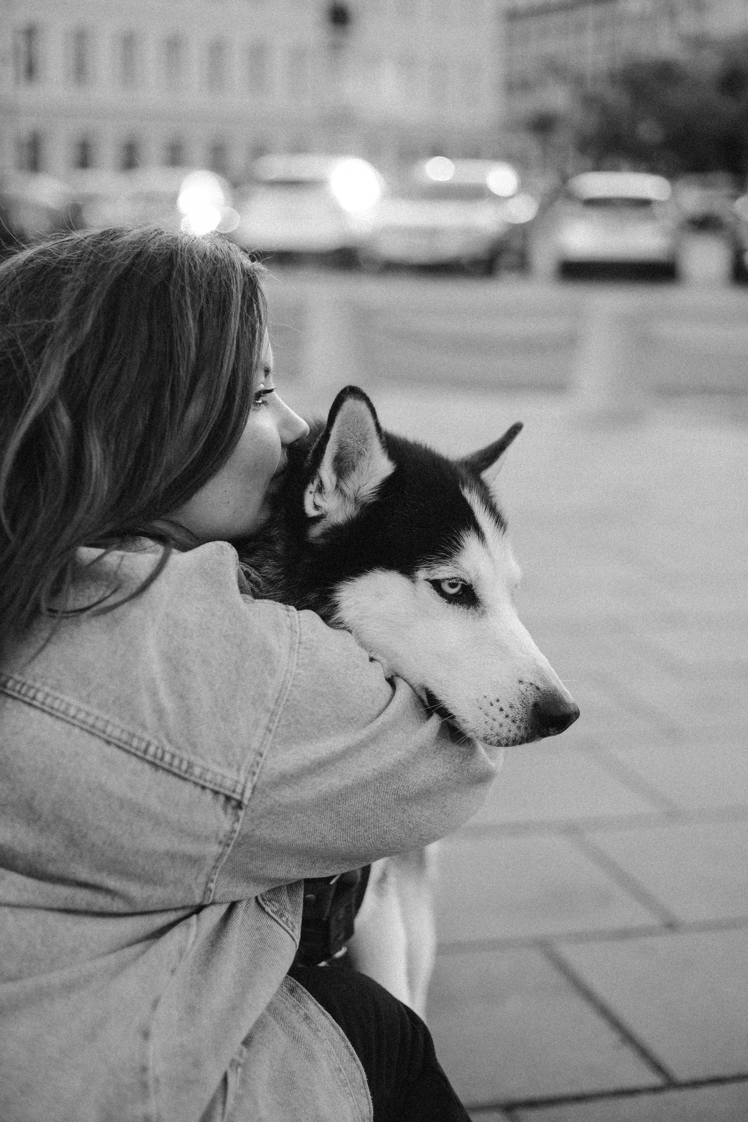 Paws & Portraits. Photographer in Los Angeles. Julia Ishmuratova