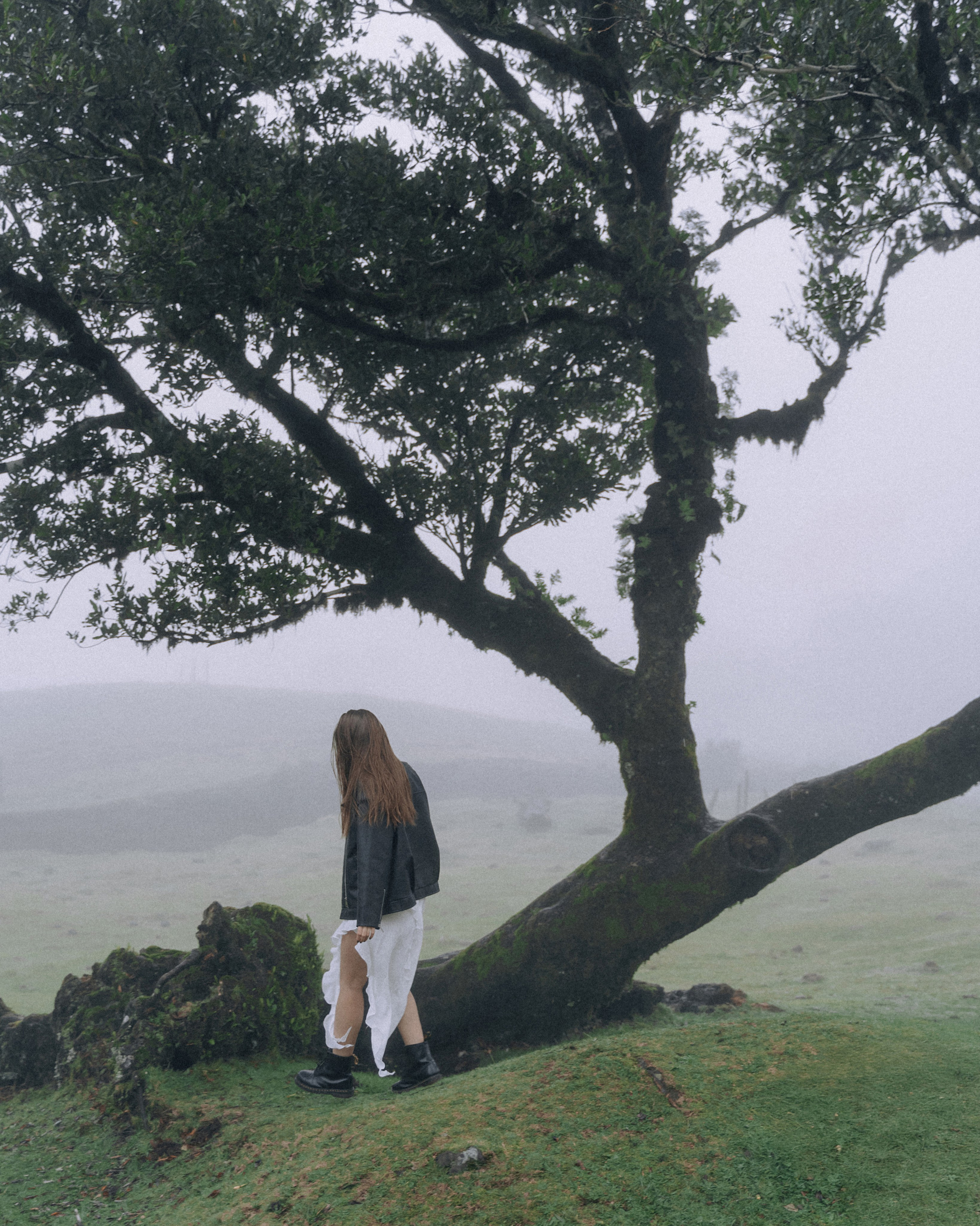 Misty Morning Photoshoot — Katya | Fanal Forest, Madeira Photographer. Your photographer in Madeira