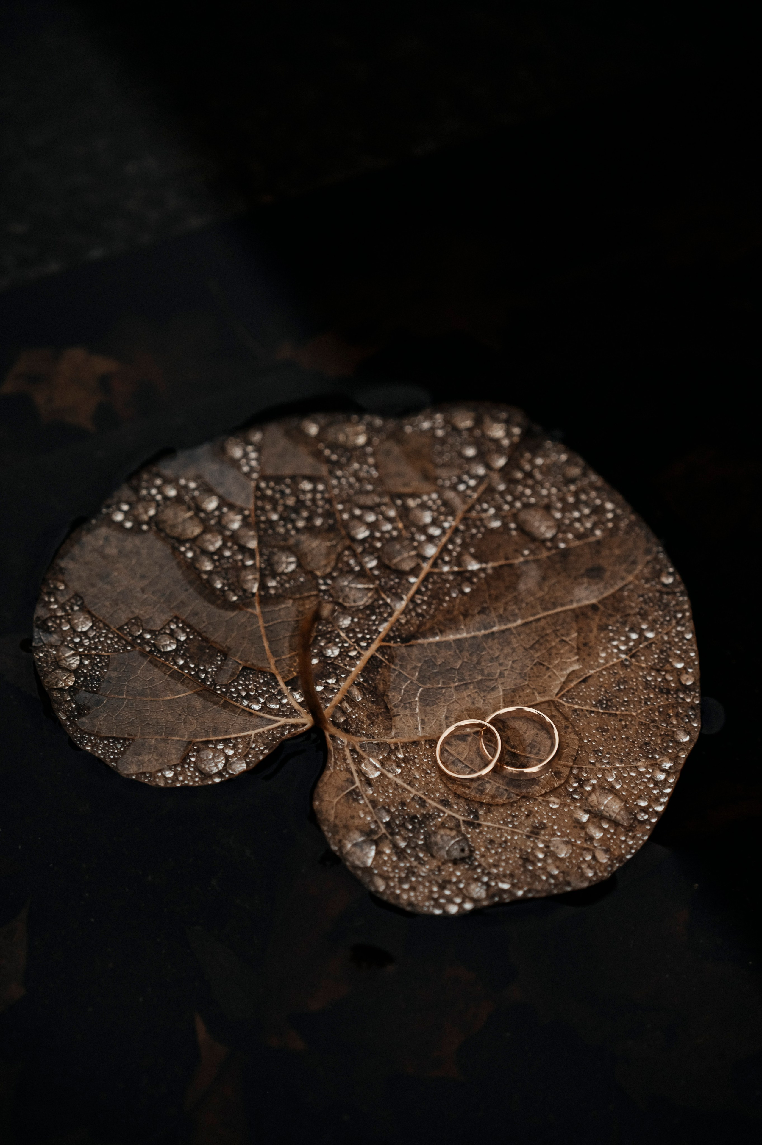 Фотограф из Таллинна. Фотограф Таллинн — свадьба |семья | lovestory