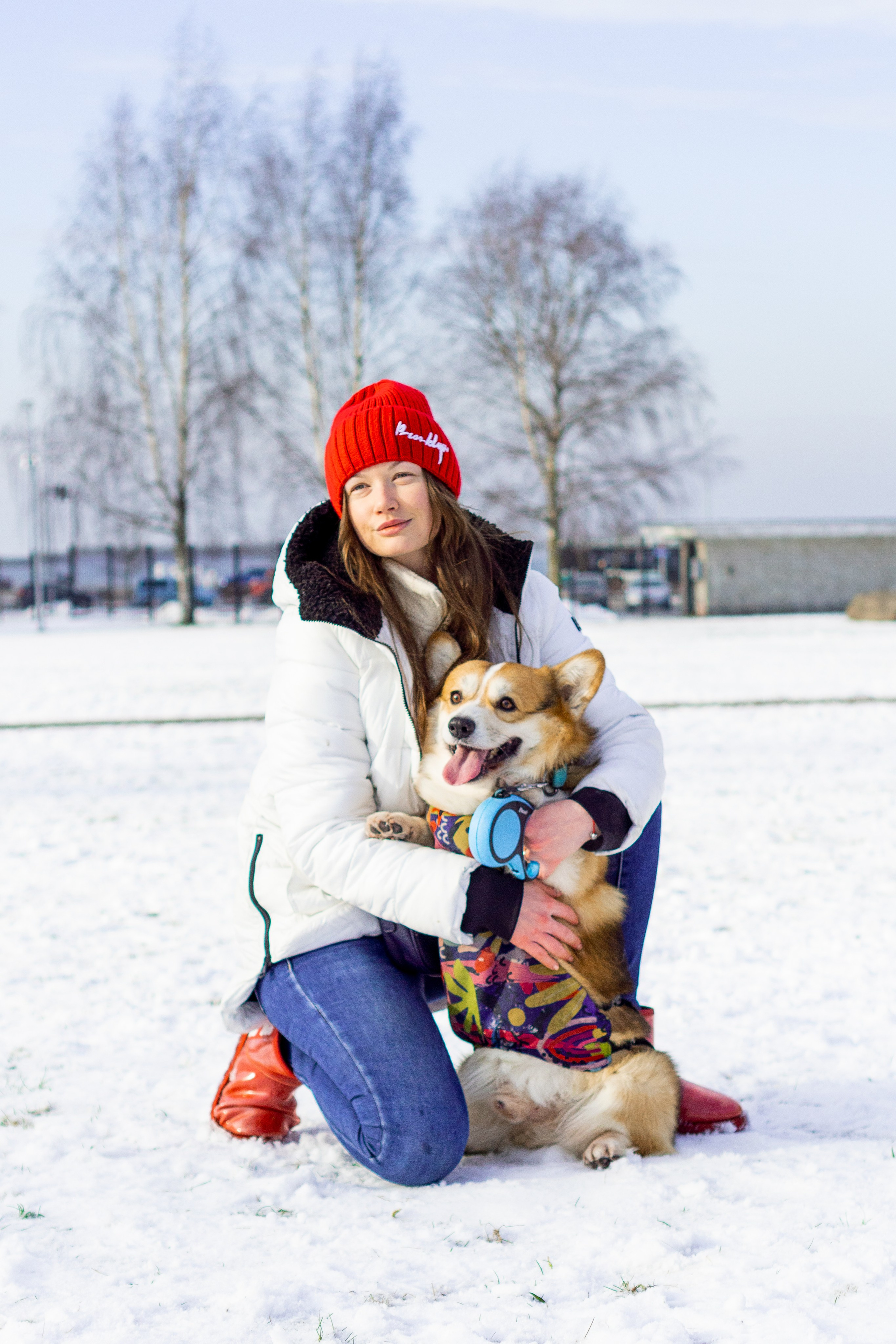 Corgi party, 23 feb. 2025. Kat Laisaar — Pet photographer in Tallinn