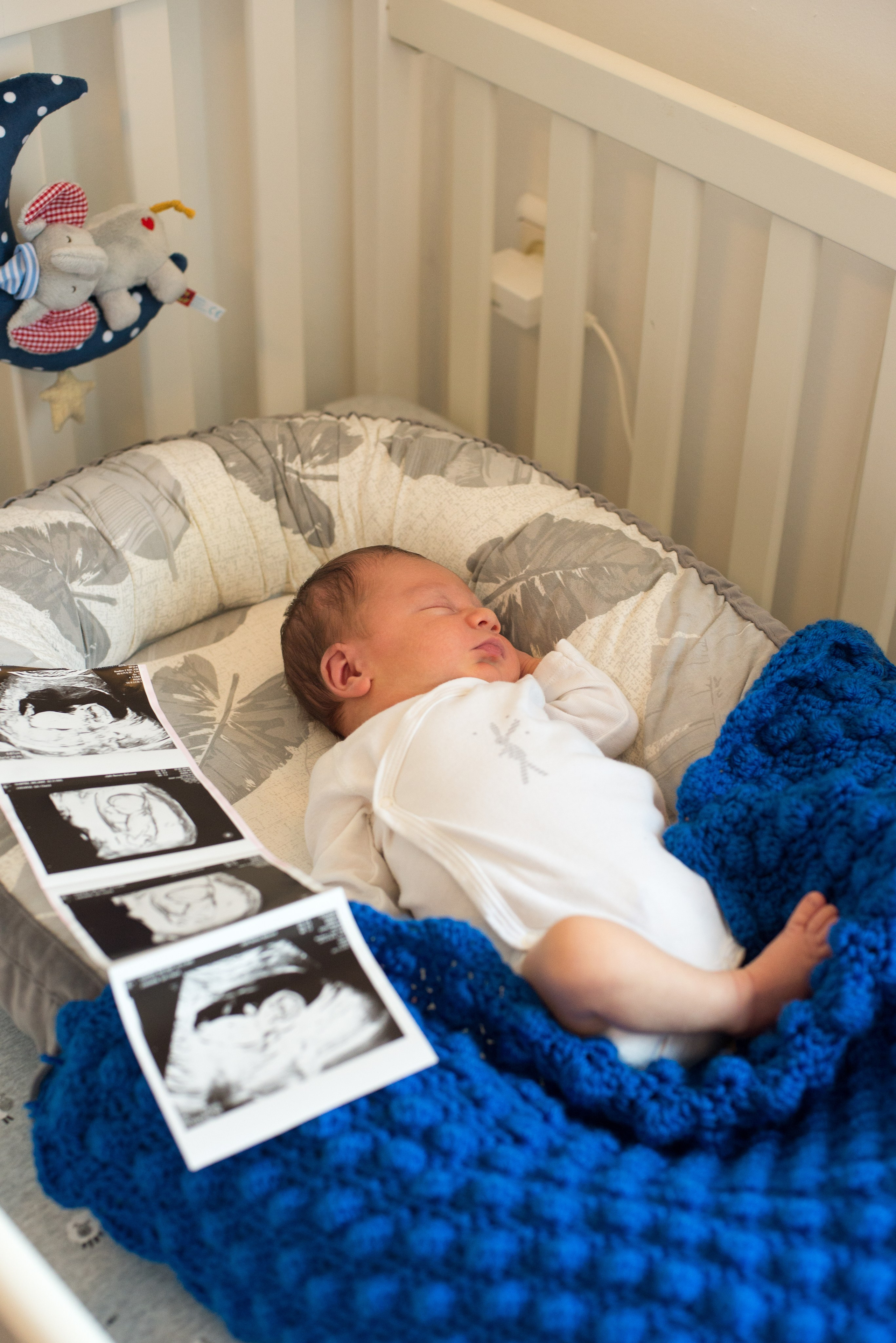 Семья Ильи и Мелани. Визуальный брендинг