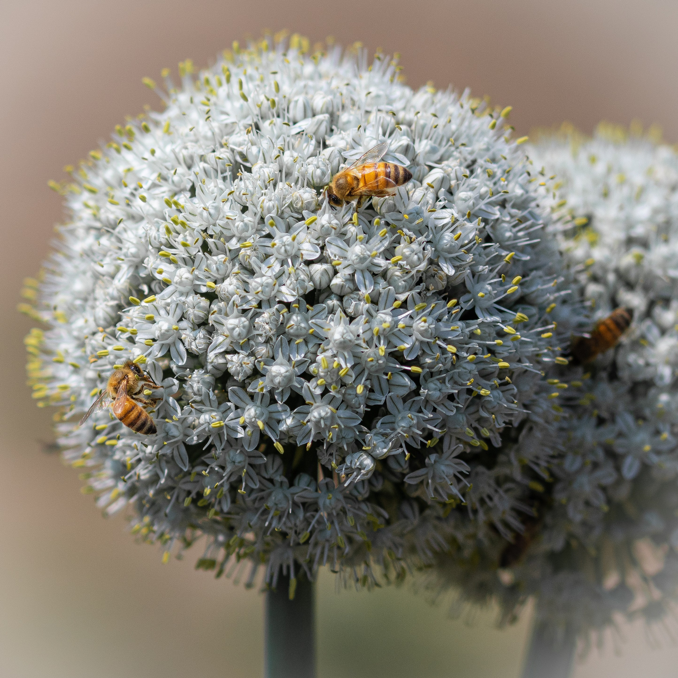 “Gianmaria Coscia fotografo per passione”
