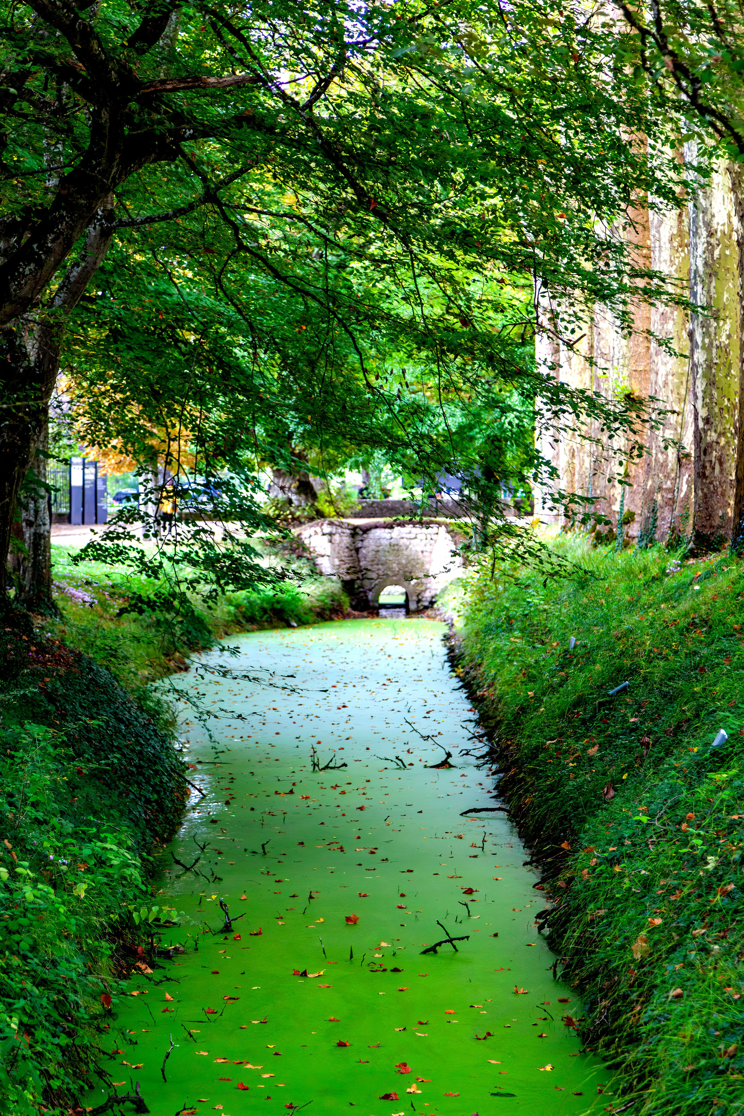 200.Château de Chenonceau.France.27.9.2025. Путешествия в формате 360......