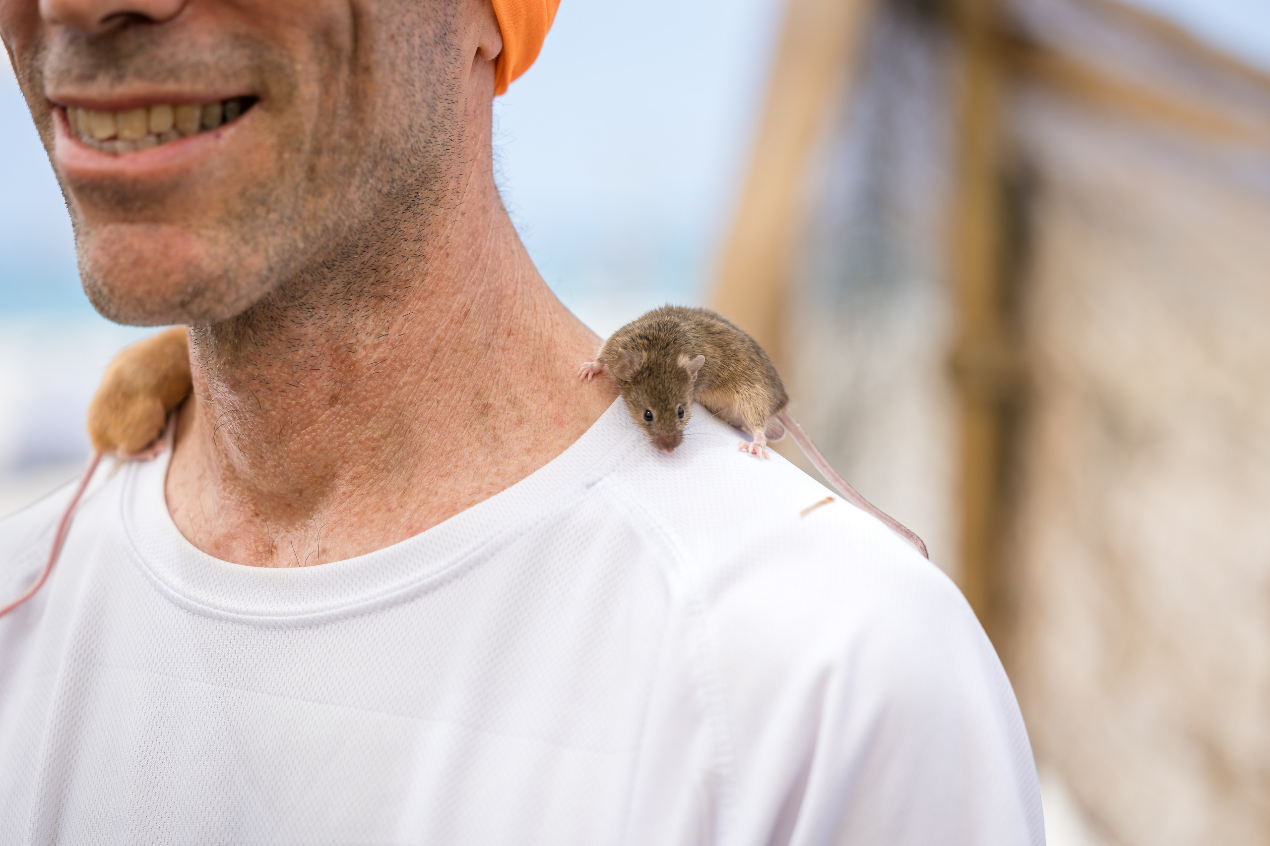 Qualcomm 2024 summer event. AMIR BUCHNIK PHOTOGRAPHER