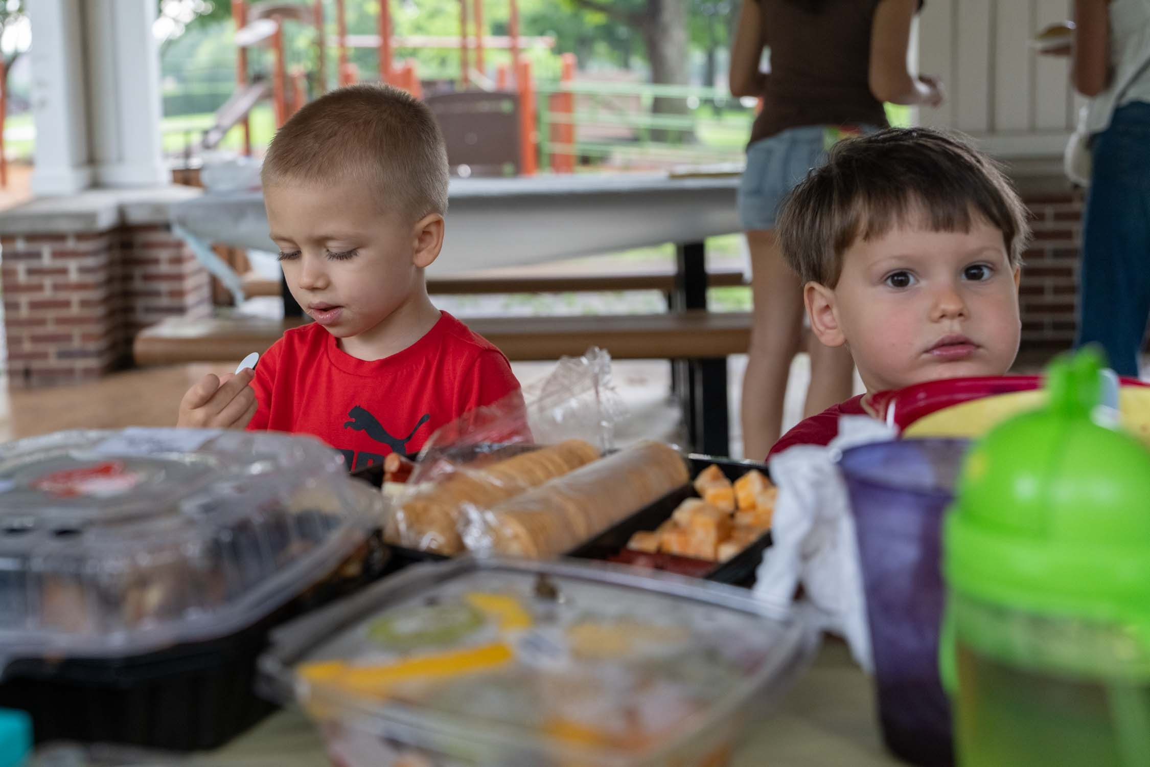 Easter picnic. Photographer Irina Kozhemyakina. Houston