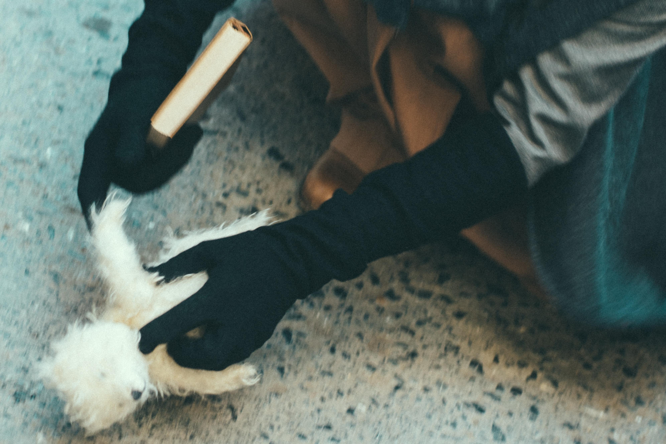 Творческий проект в Стамбуле: «Русские эмигранты. Связь времён». Лайфстайл фотограф в Стамбуле Анатолий. Фотосессии на крышах с чайками