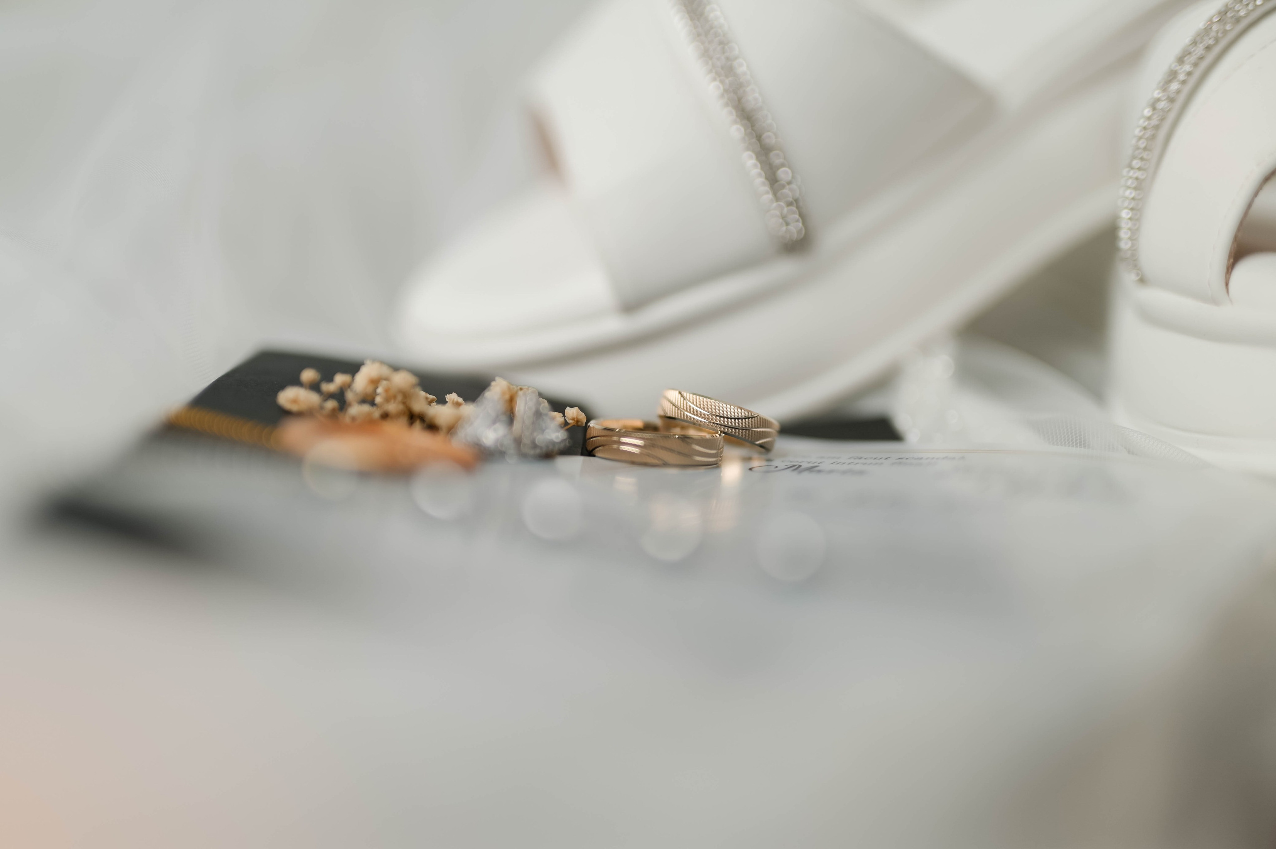 Maria + Gabriel| Salon Fiesta. FotoVizion Iași