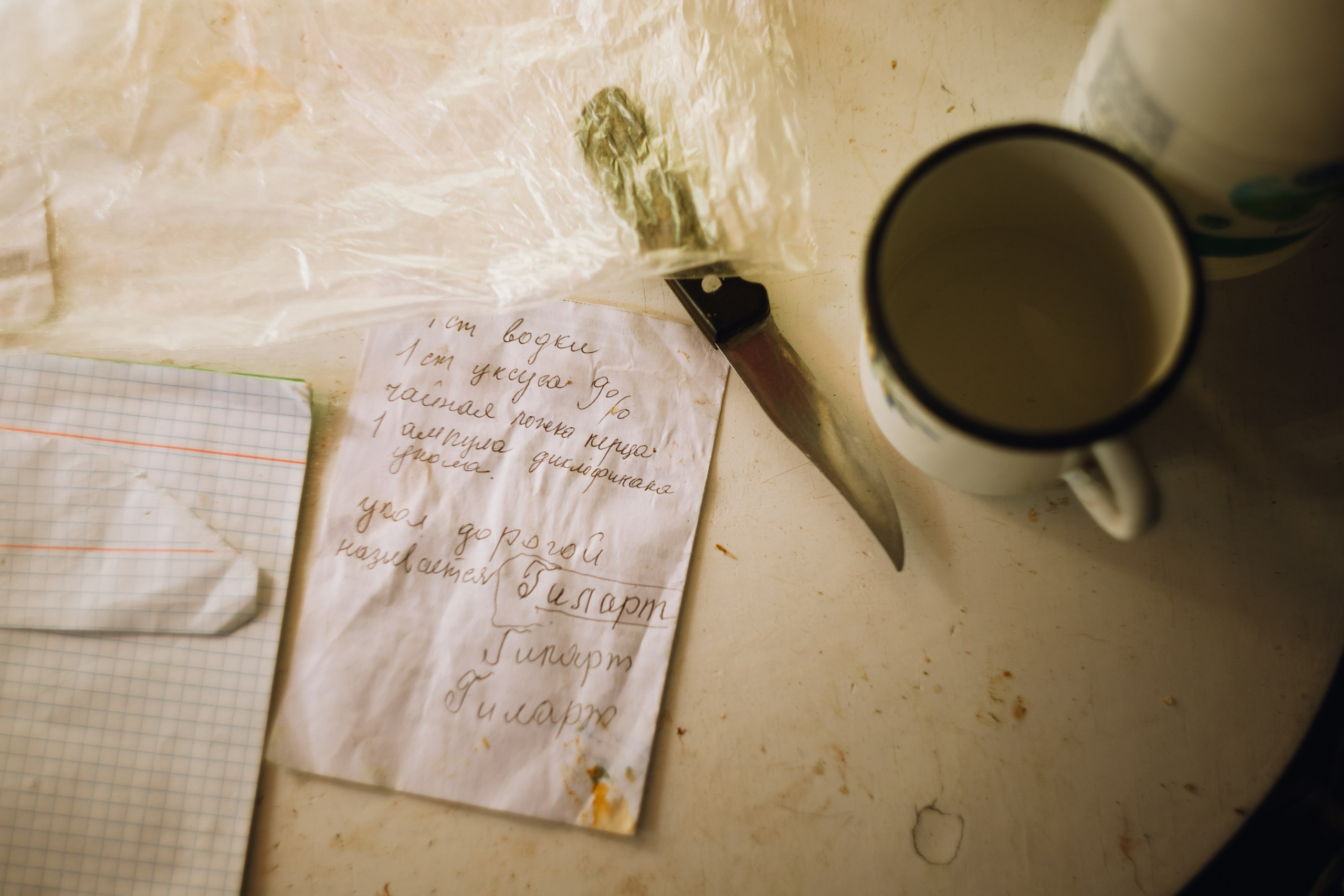 Grandmother's home in Brest. Kaja | fotograf we Wrocławiu | ludzie i psy