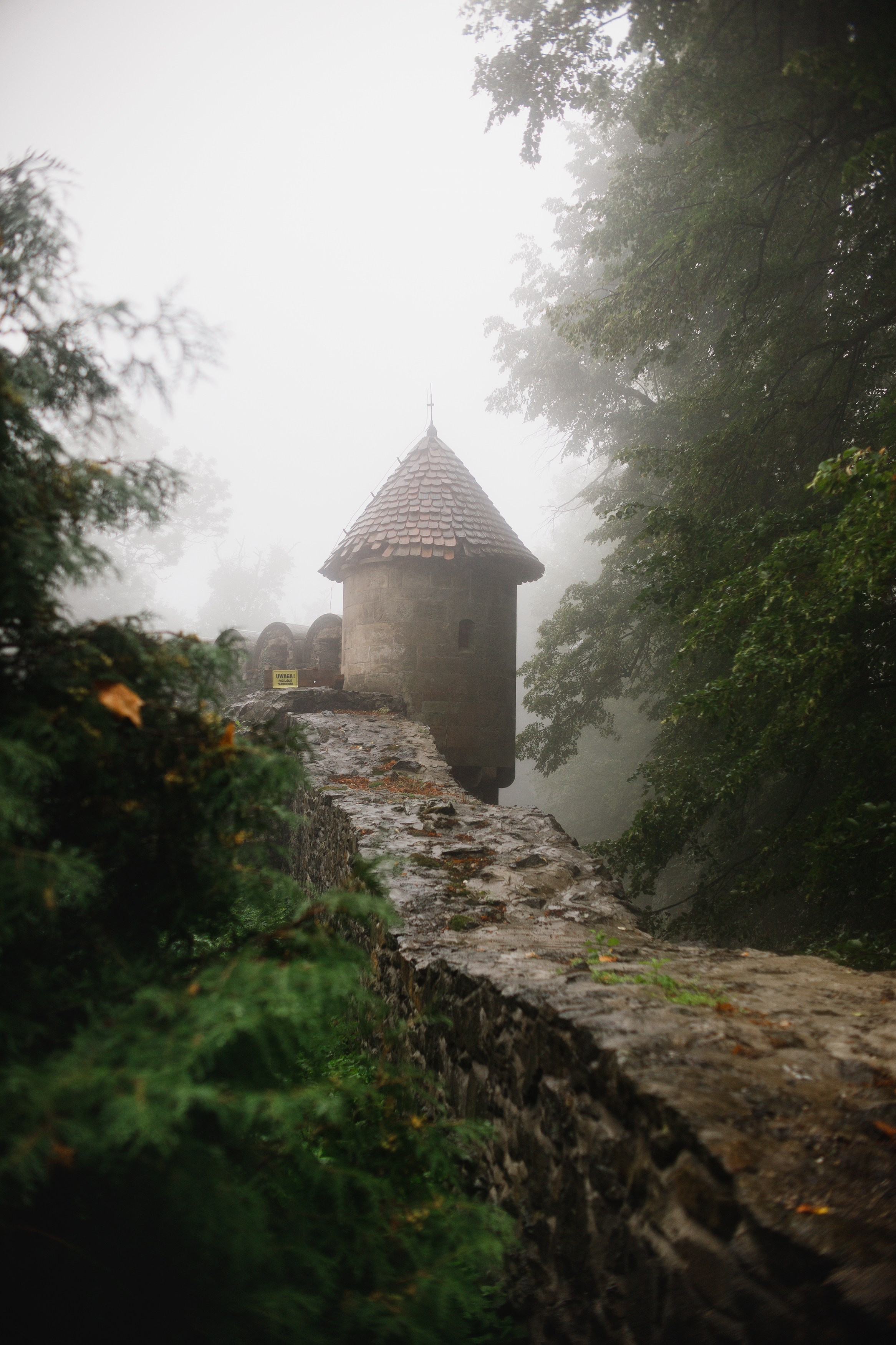 Zamek Grodziec. Kaja | fotograf psów we Wrocławiu