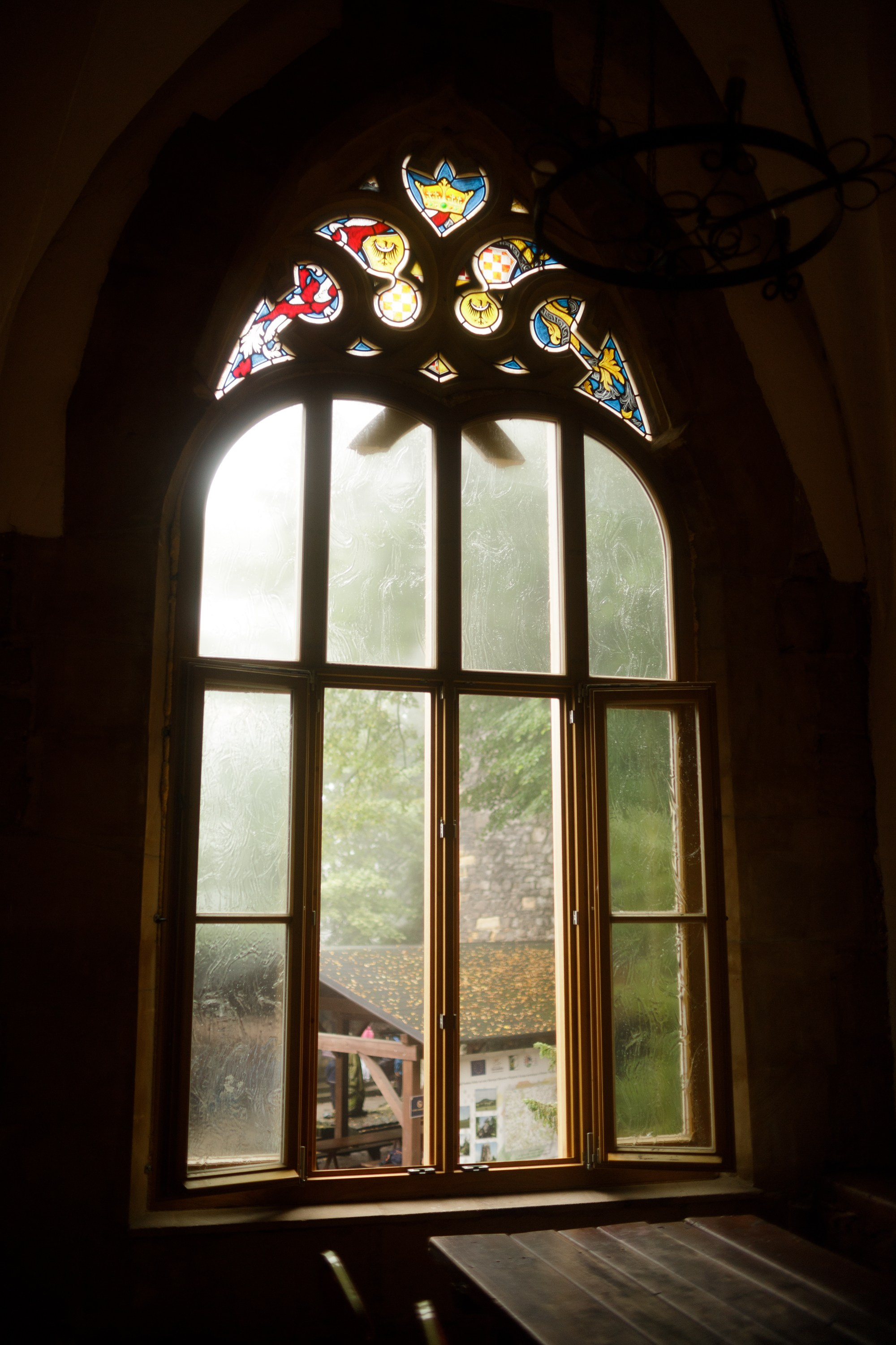 Zamek Grodziec. Kaja | fotograf psów we Wrocławiu