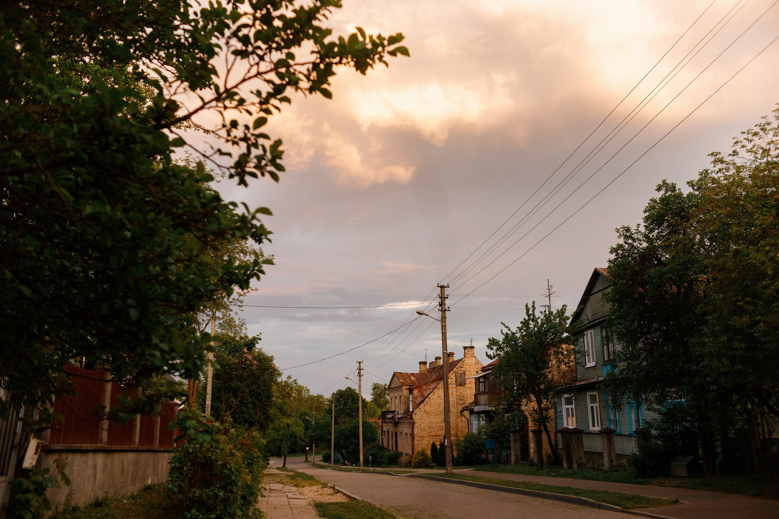 Grodno. Kaja | fotograf we Wrocławiu | ludzie i psy