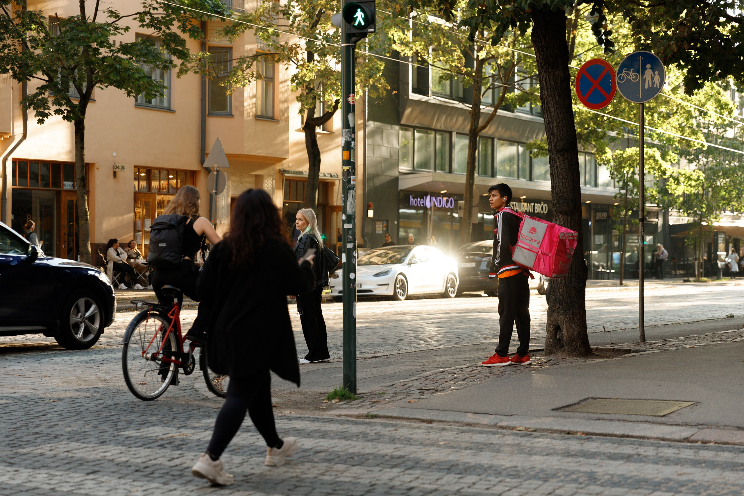 Helsinki. Kaja | fotograf psów we Wrocławiu