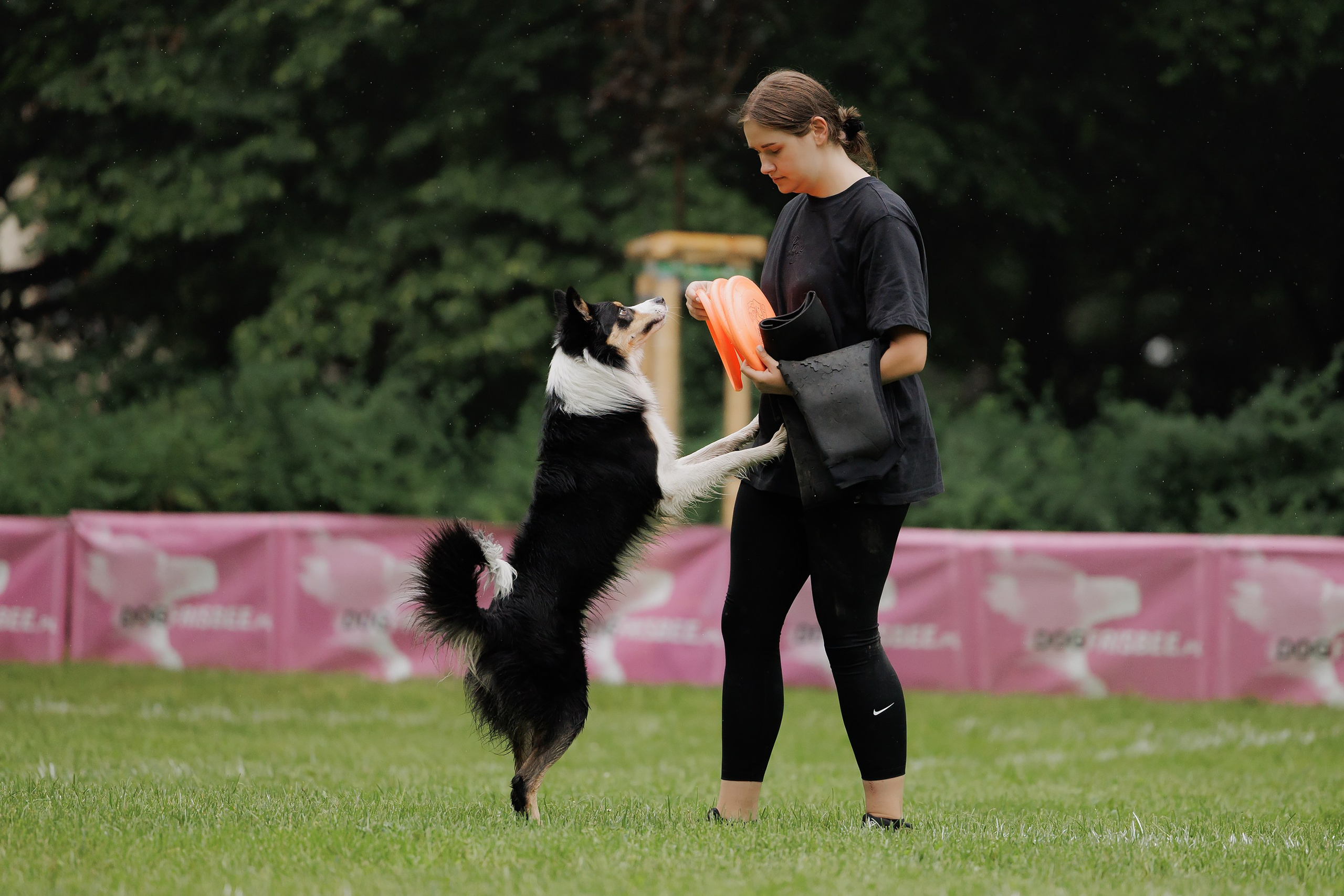 Latające psy, Wrocław'25. Kaja | fotograf psów we Wrocławiu