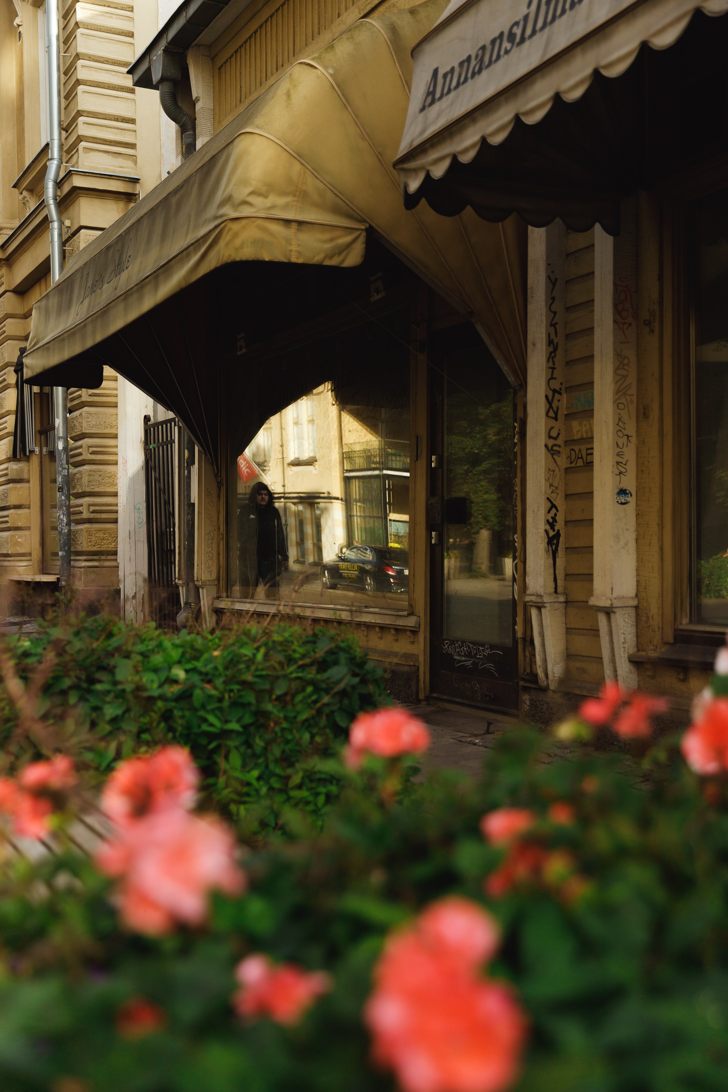 Turku. Kaja | fotograf psów we Wrocławiu