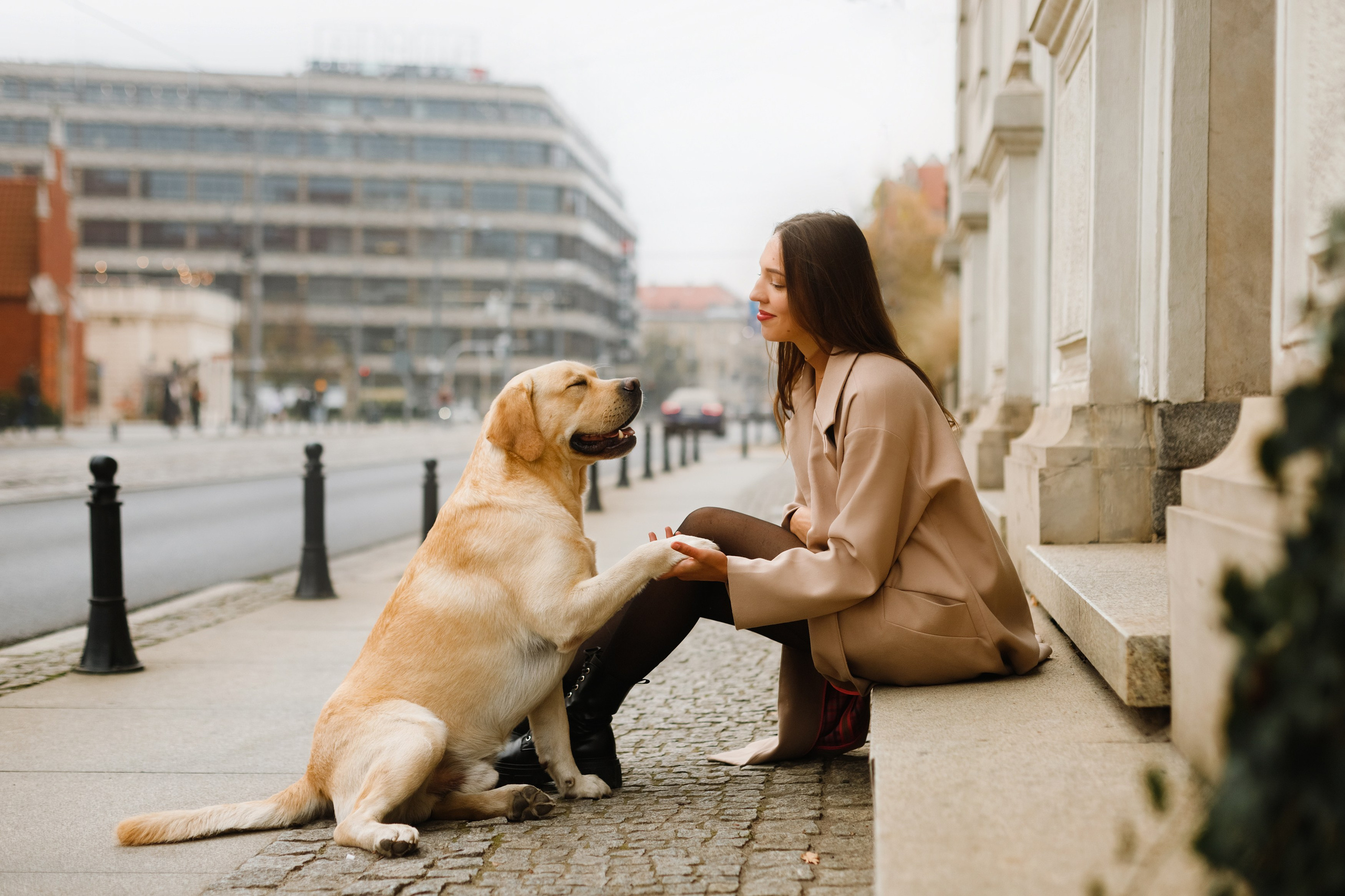 Katya & labrador. Kaja | fotograf psów we Wrocławiu