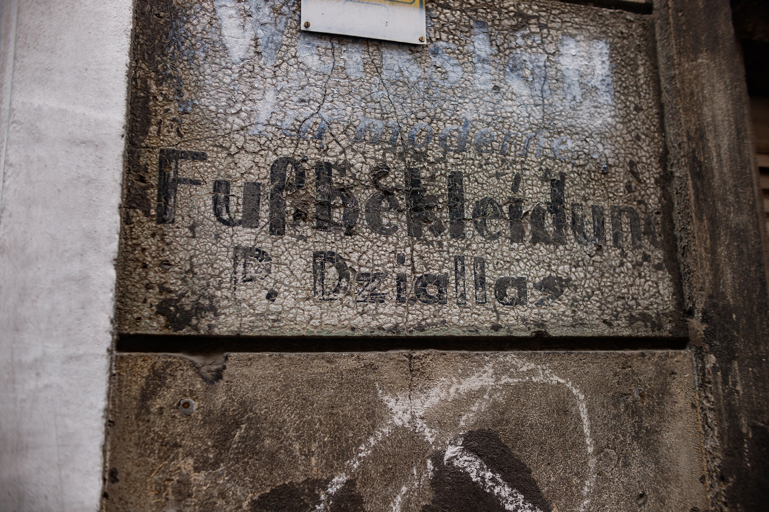 Wroclaw | the best ones. Kaja | fotograf psów we Wrocławiu