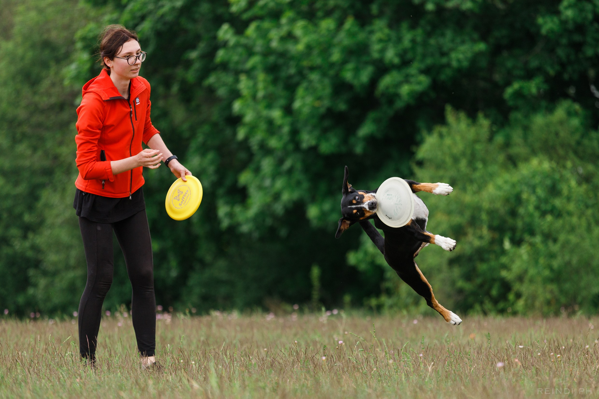 Dog frisbee championship | summer. Kaja | fotograf we Wrocławiu | ludzie i psy