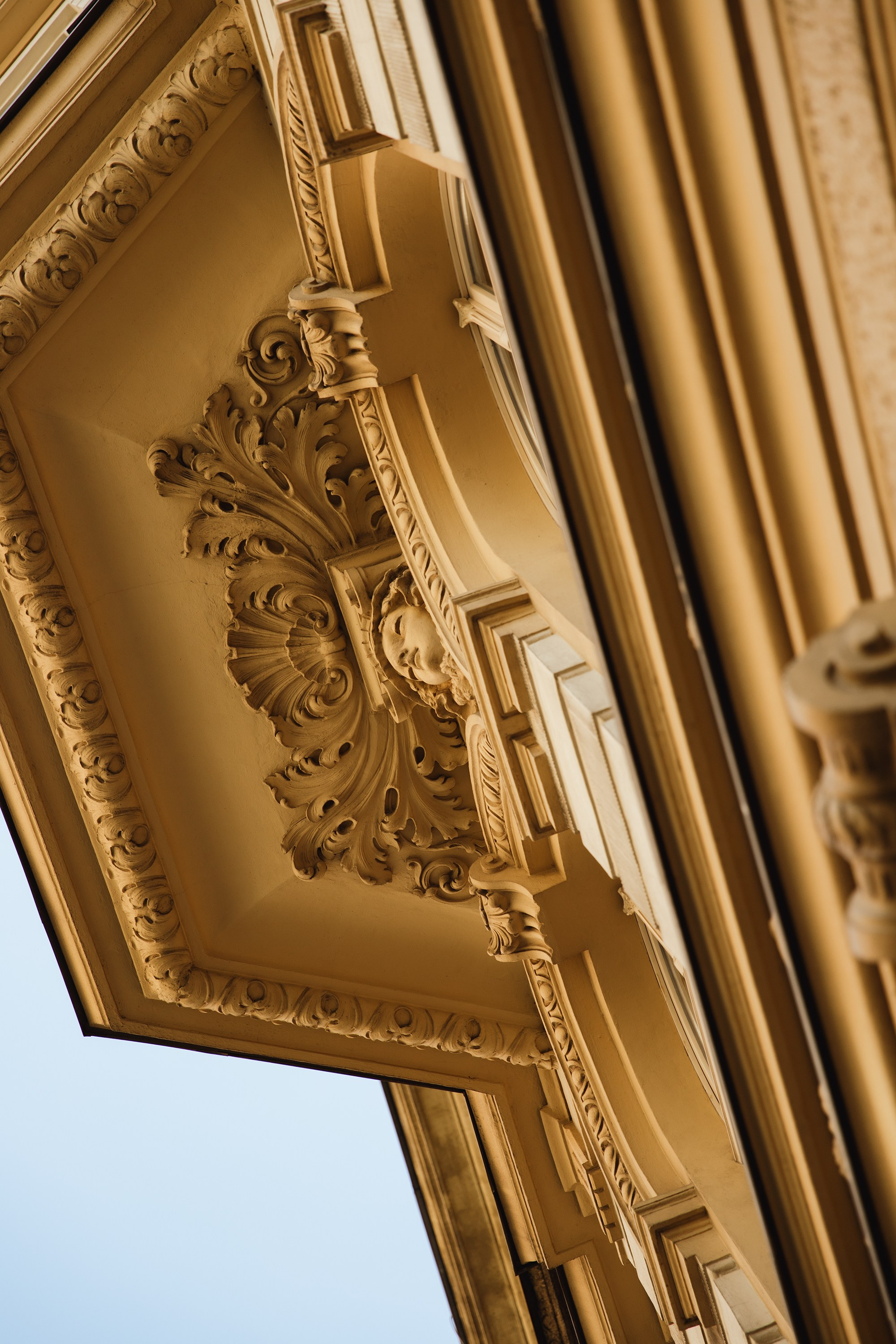 Wroclaw | the best ones. Kaja | fotograf psów we Wrocławiu