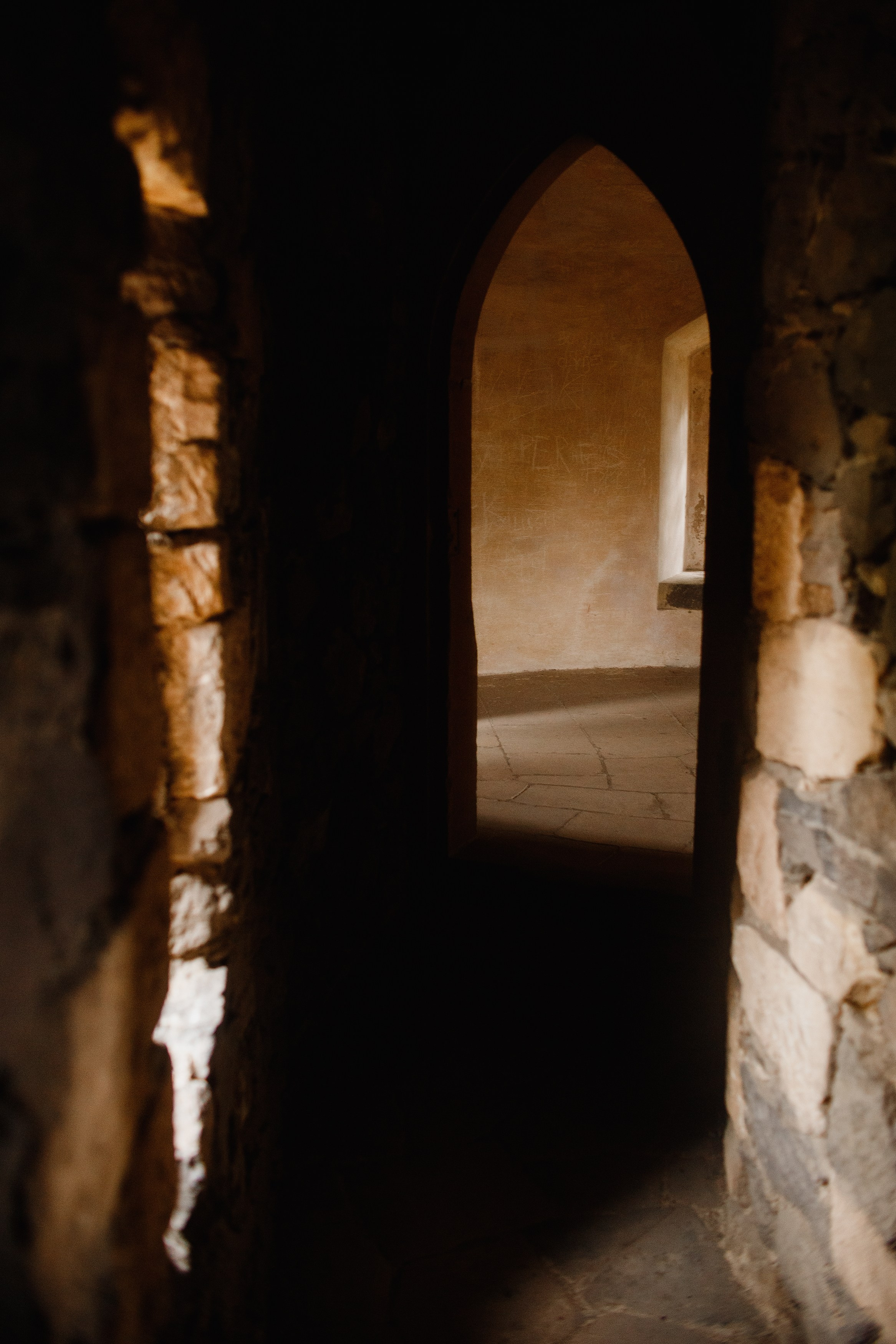 Zamek Grodziec. Kaja | fotograf psów we Wrocławiu