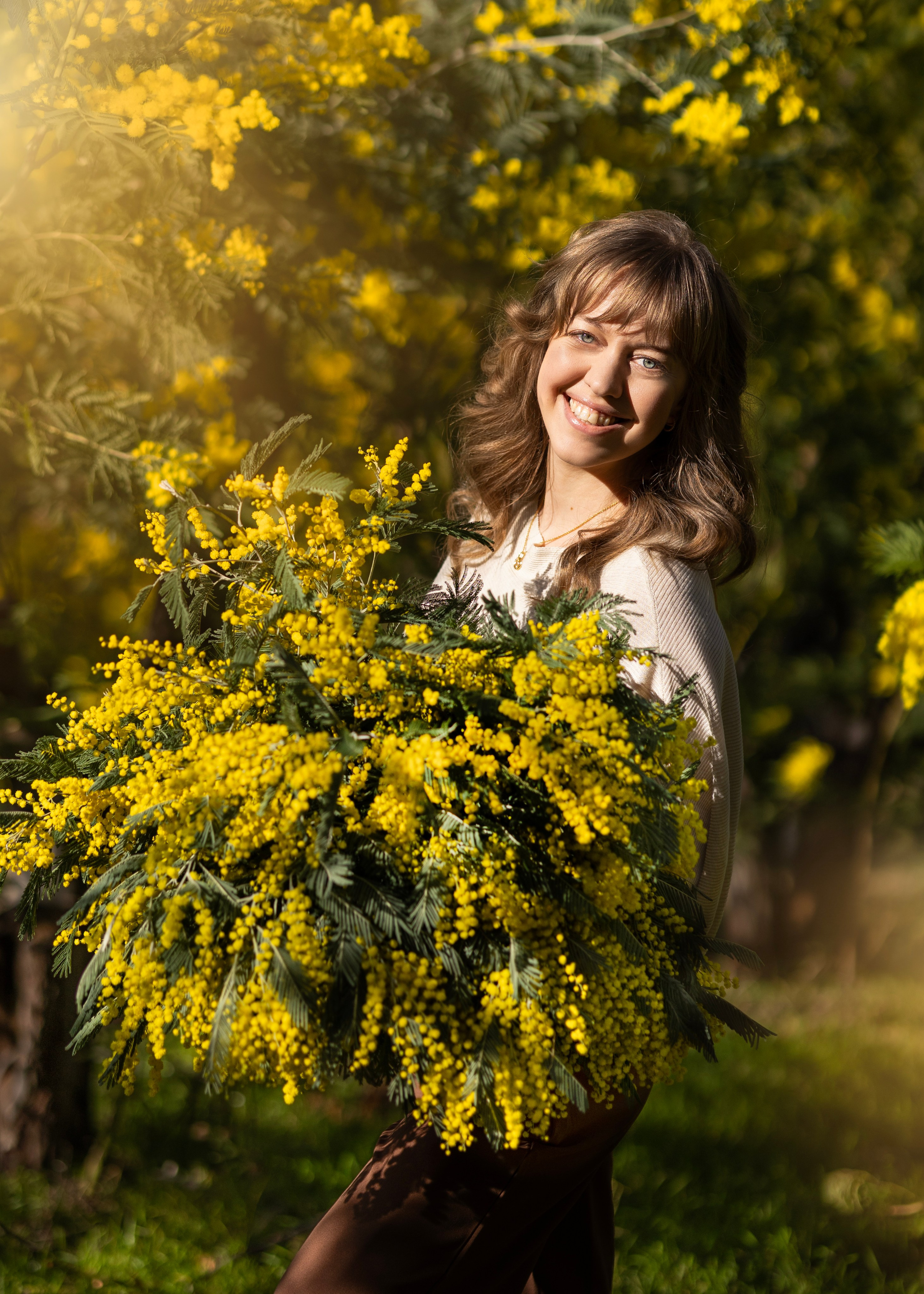 Mimosa. Photographer in Munich